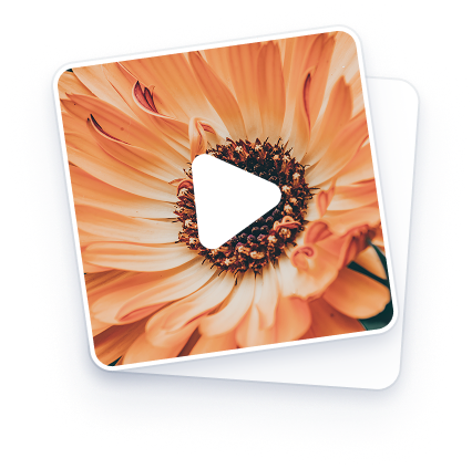 Video Converter Icon Video Converter Icon