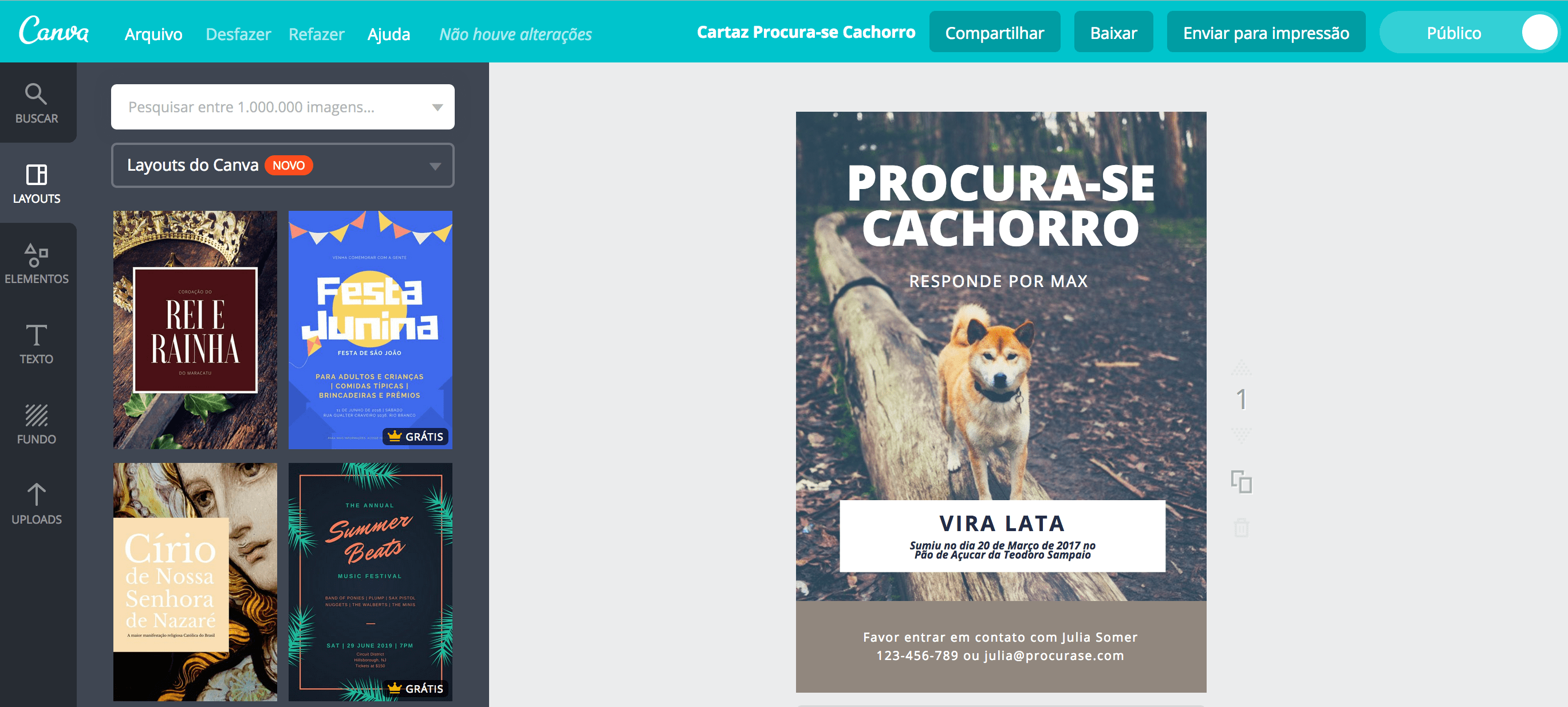 Cartaz de procura-se cachorro e gato