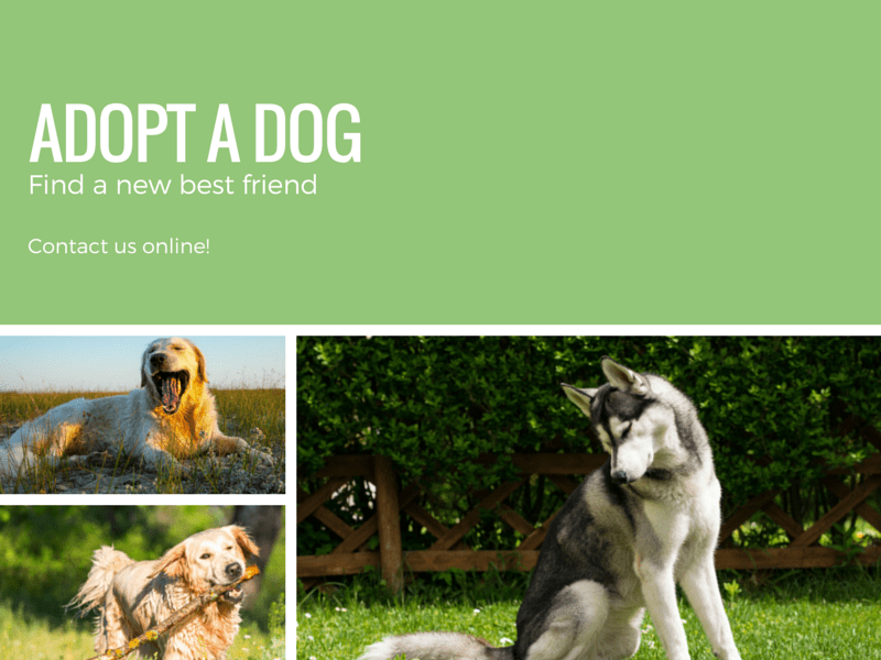 Empieza a usar cuadrículas con Canva