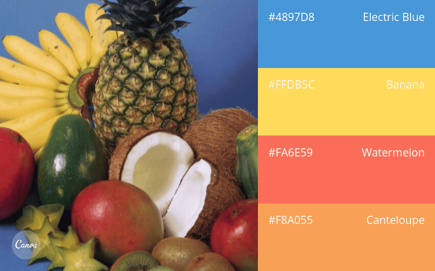 100 color combination ideas and examples | Canva