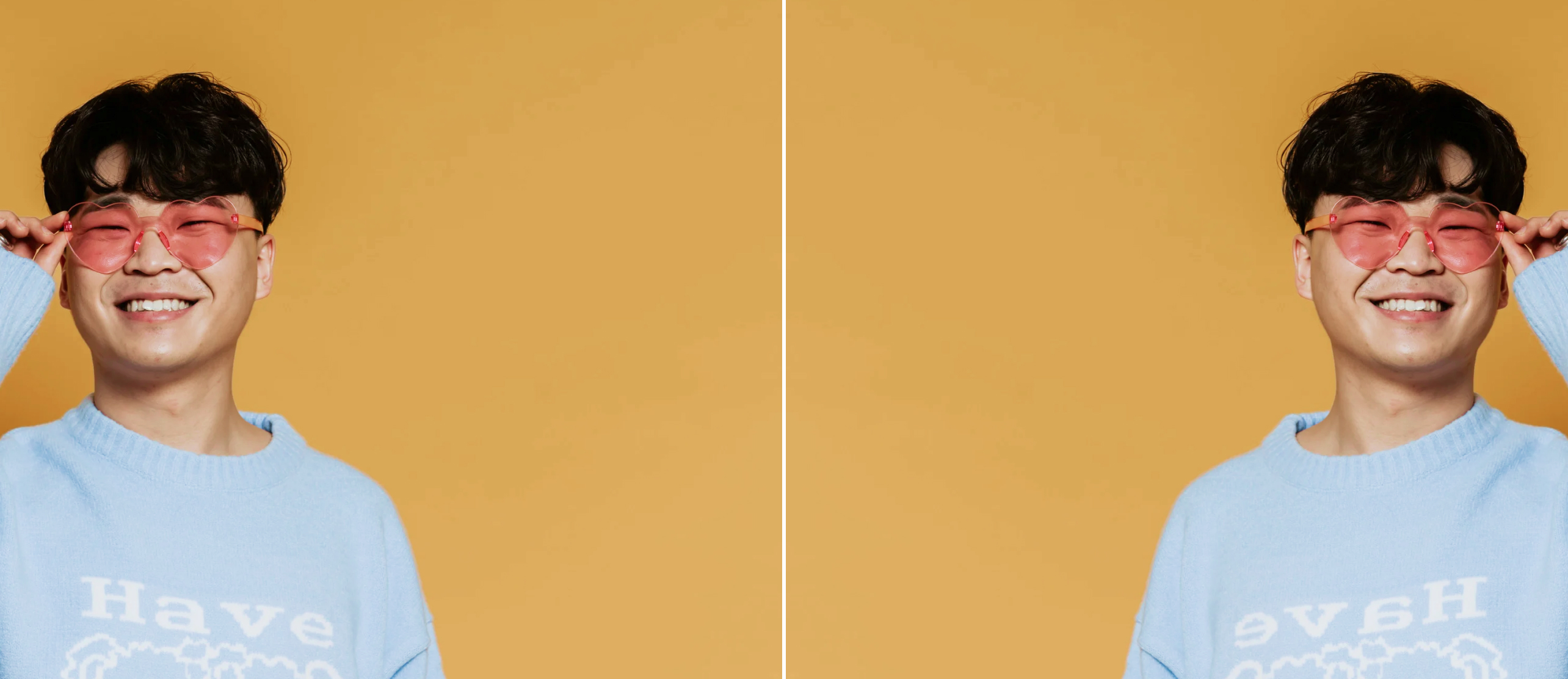 Flip Image Tool Banner