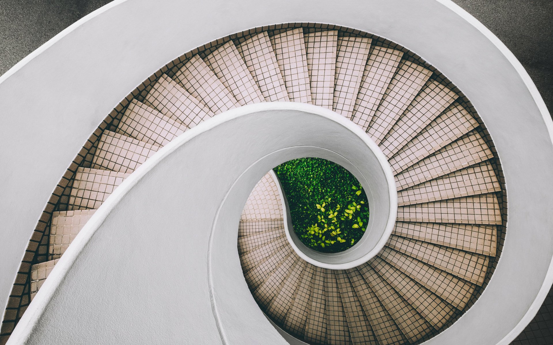 Design elements and principles