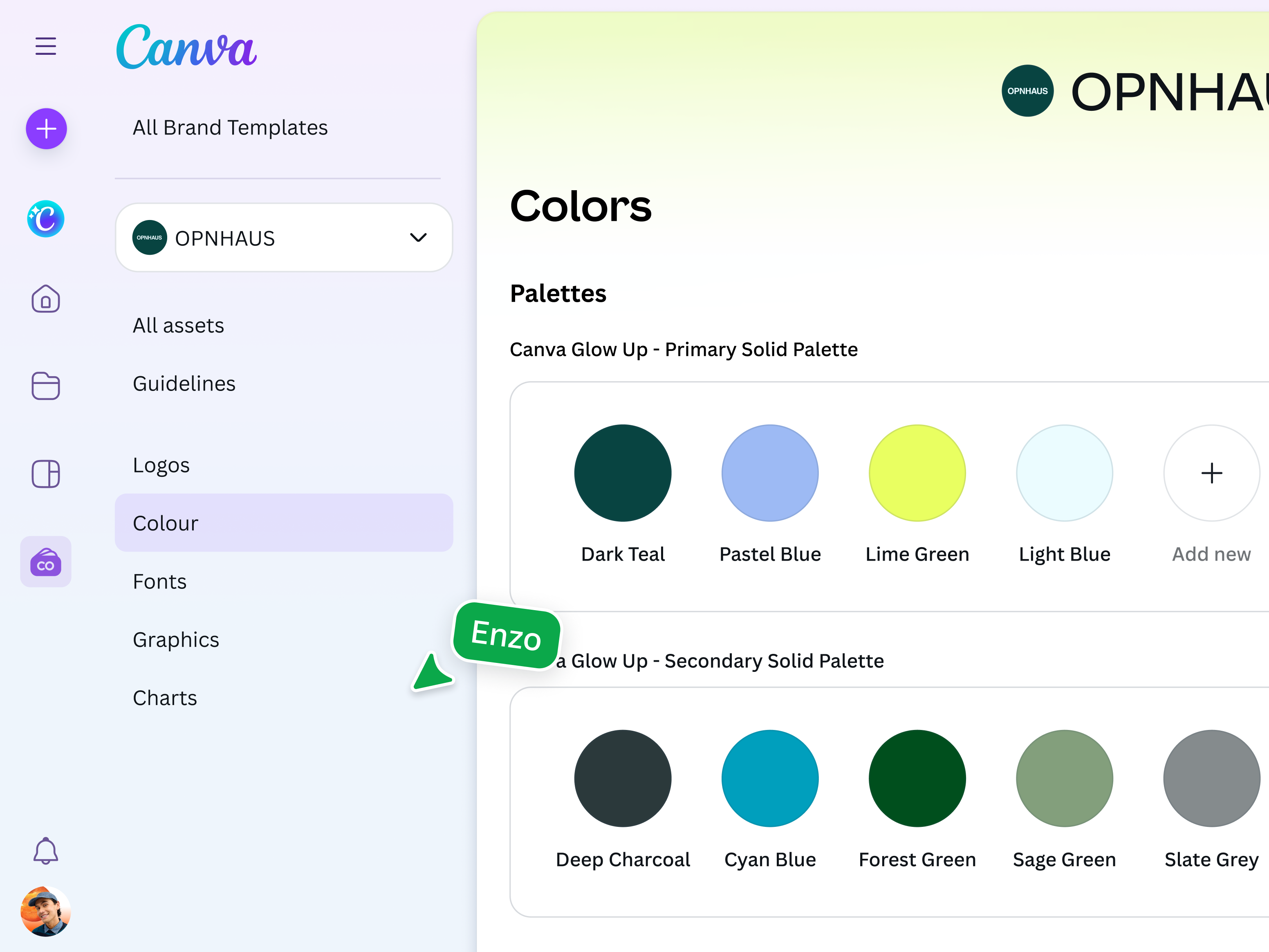 Style Guide Media Sample How to build a brand kit + examples | Canva