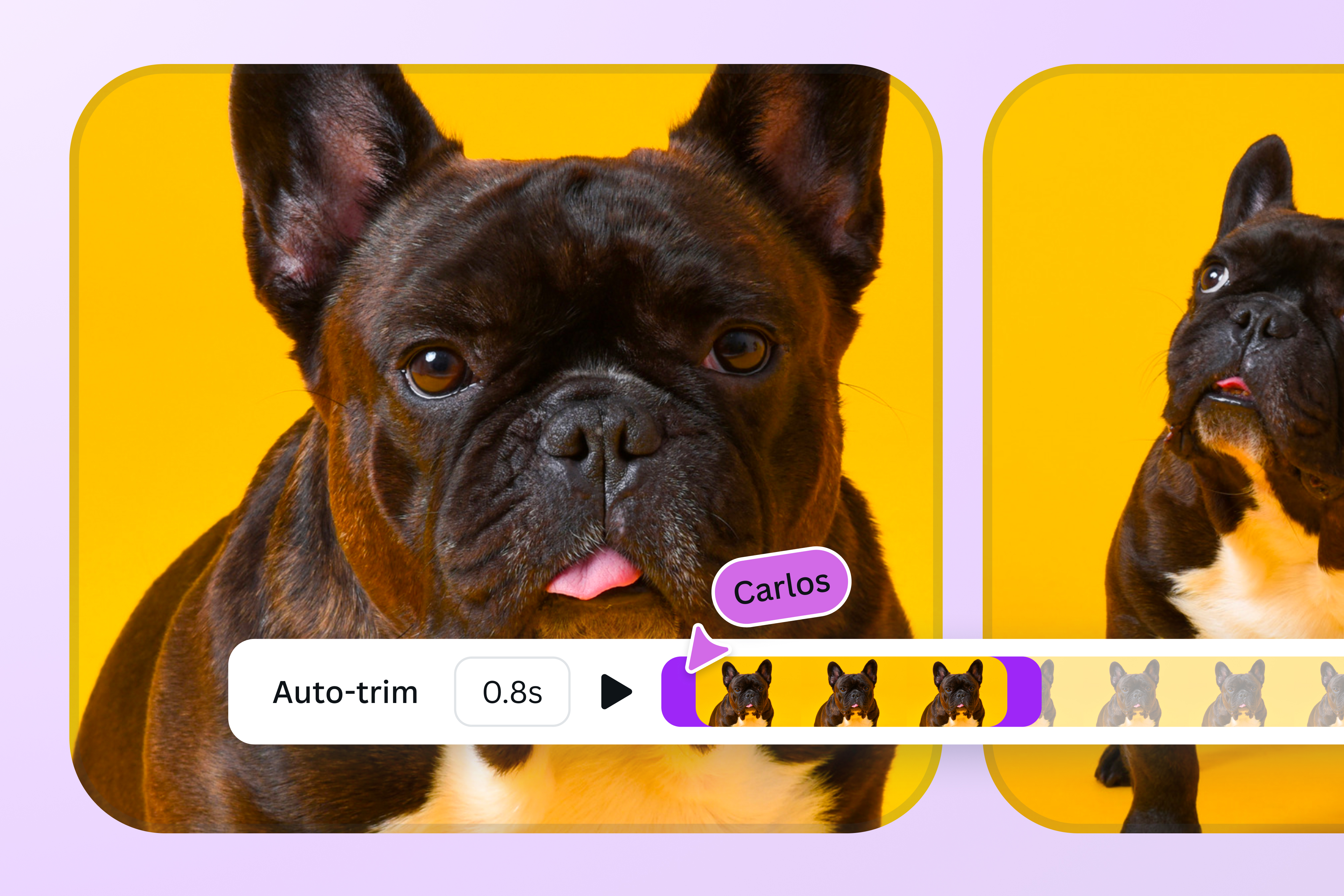 GIF to Video Feature Card 2