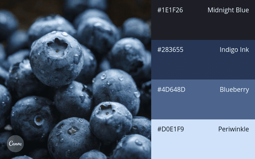 100 color combination ideas and examples | Canva