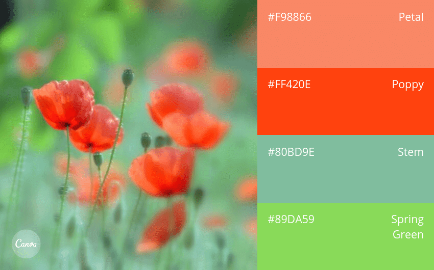 Color Combinations Sampler 100 color combination ideas and examples | Canva