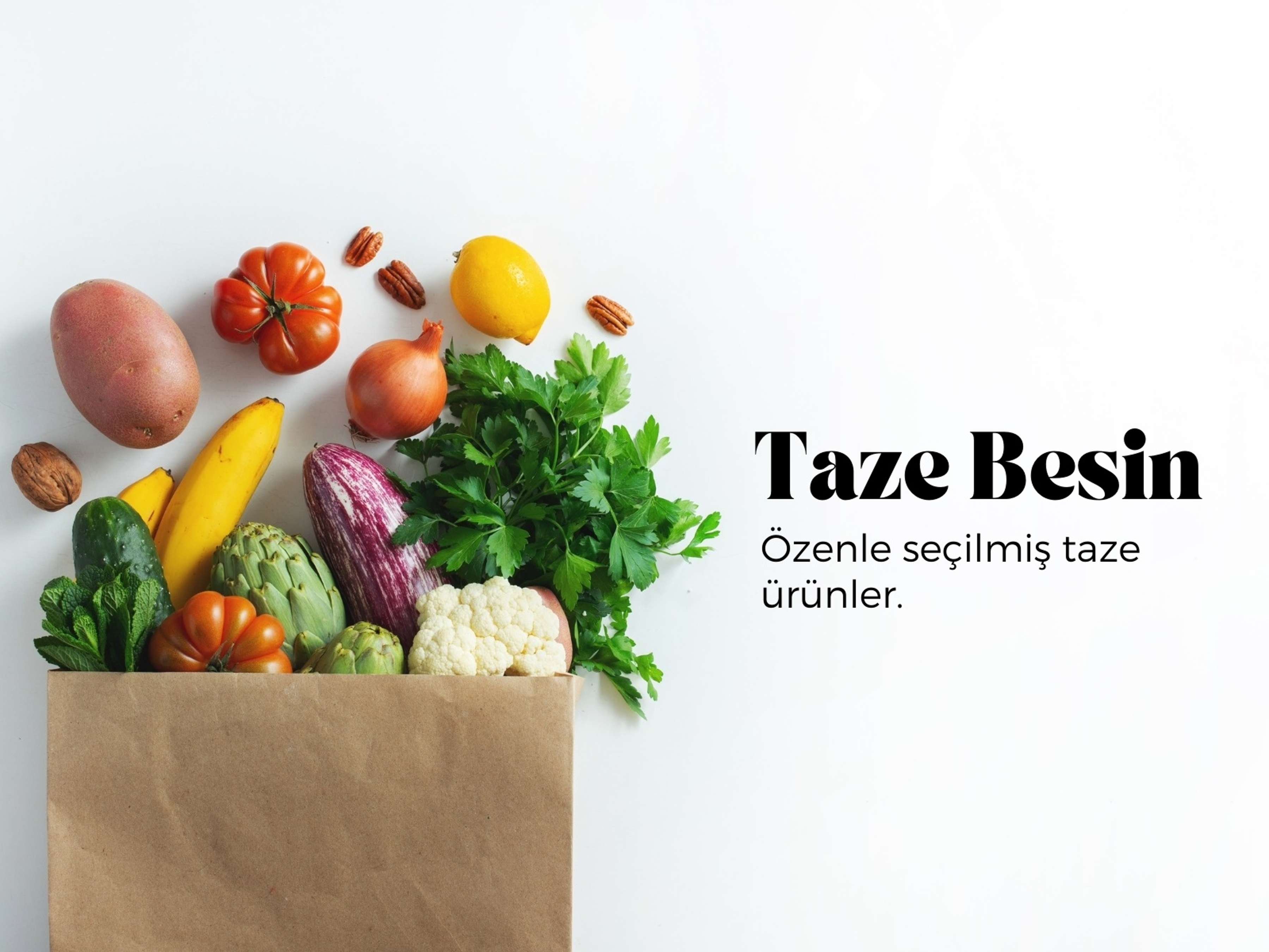 fotoğraf üstüne yazı yazma - Canva