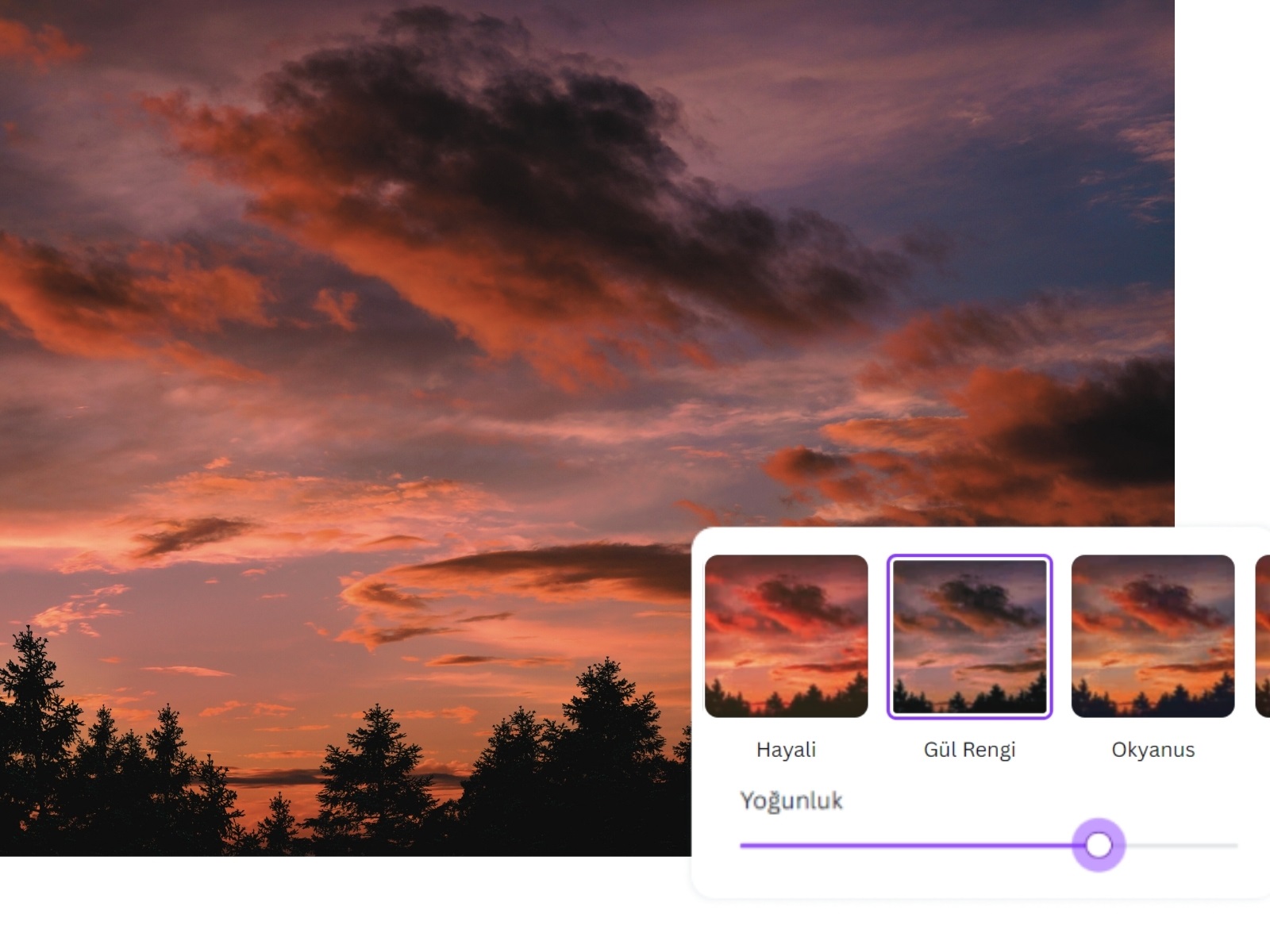 fotoğrafa filtre ekleme - Canva fotoğrafa filtre ekleme - Canva