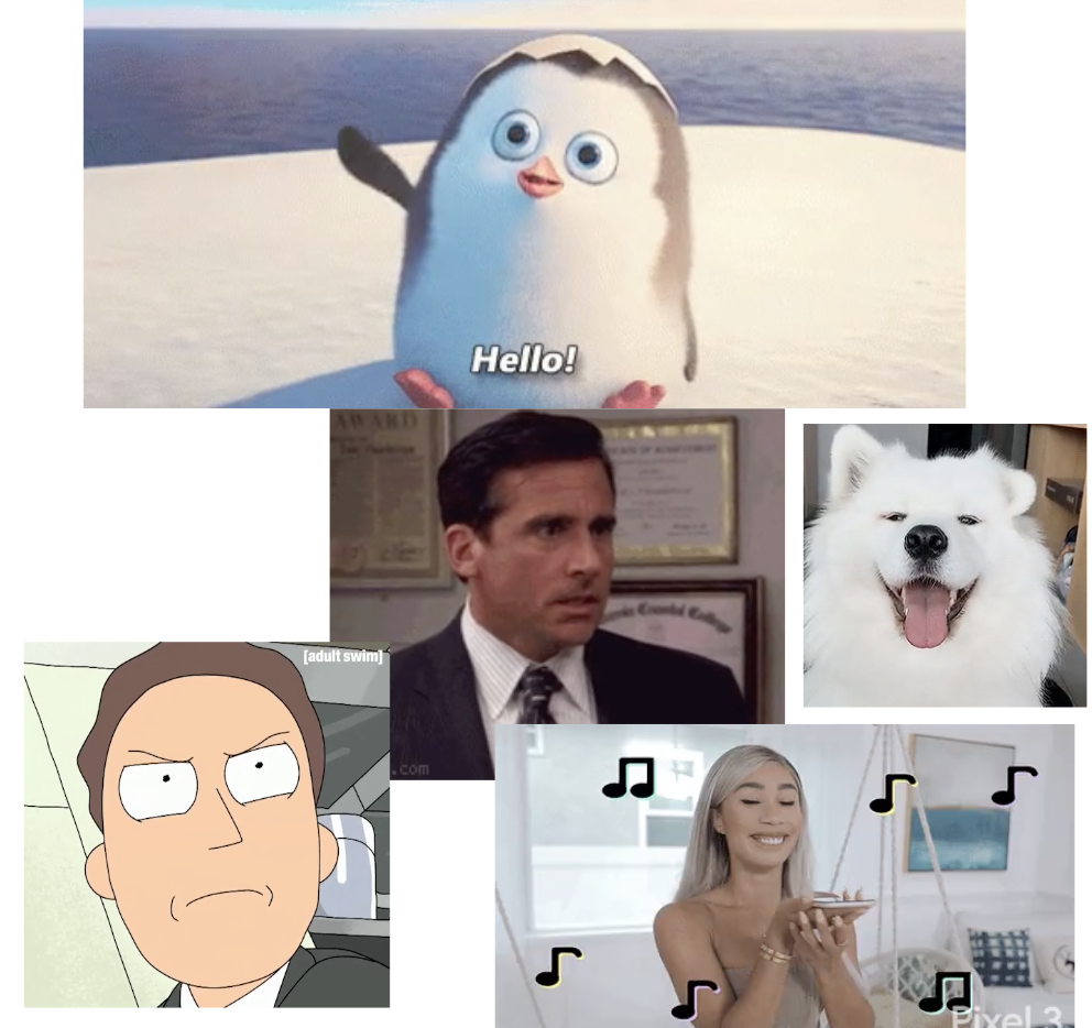 GIPHY
