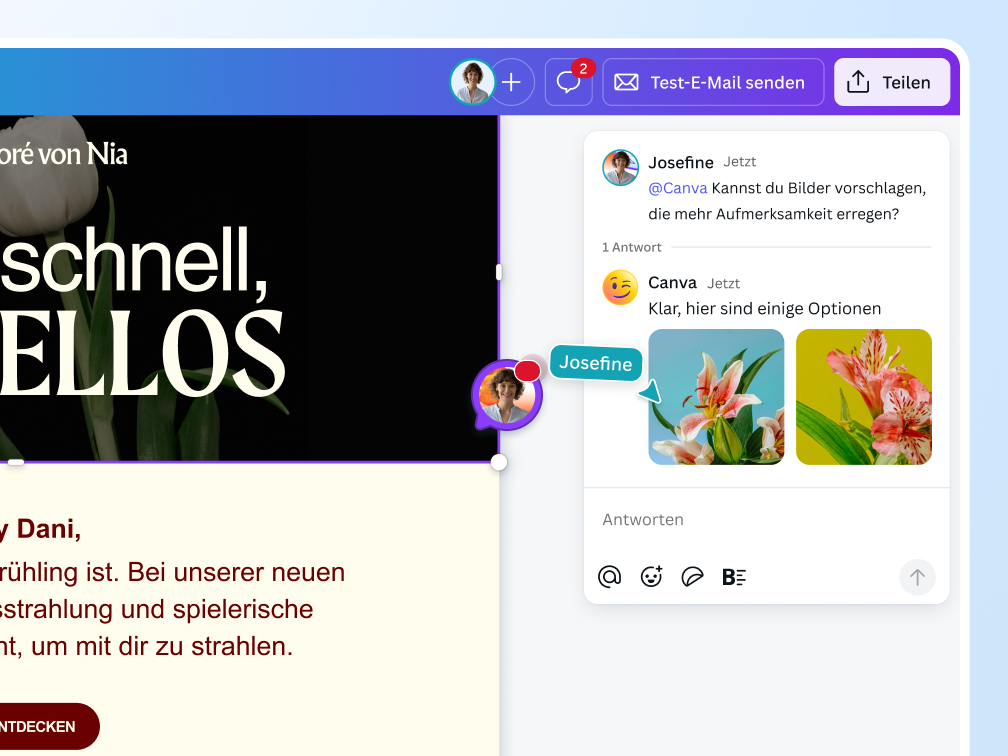 Email-Design-Tool | kostenlose Vorlagen & Beispiele | Canva