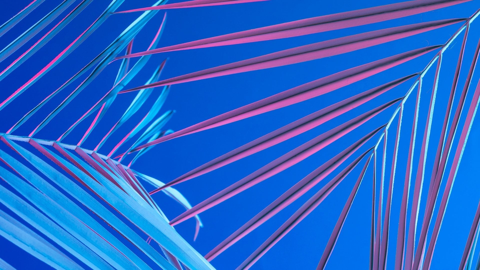 desktop-wallpaper