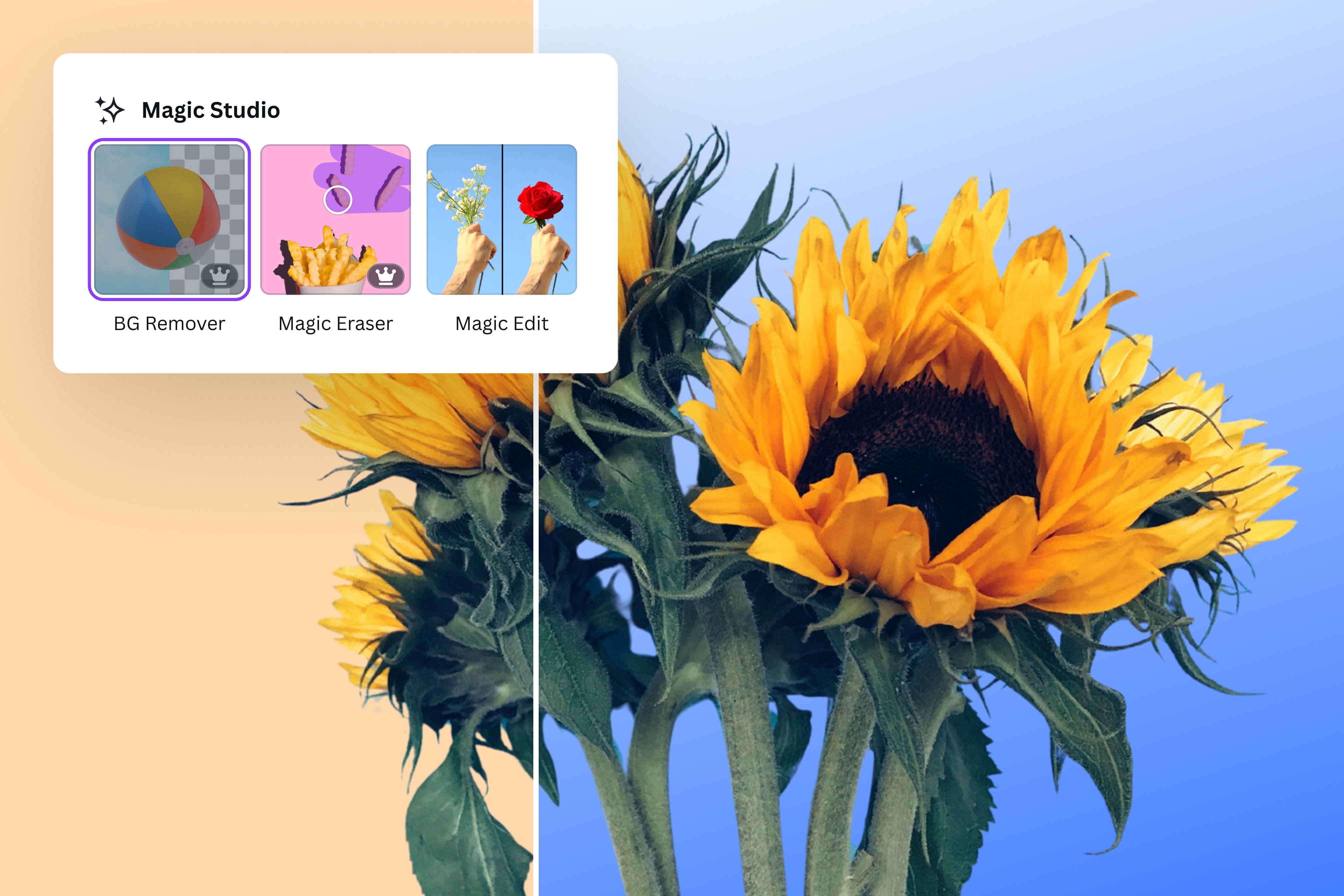 Anteprima Magic Studio di Canva per modificare sfondo