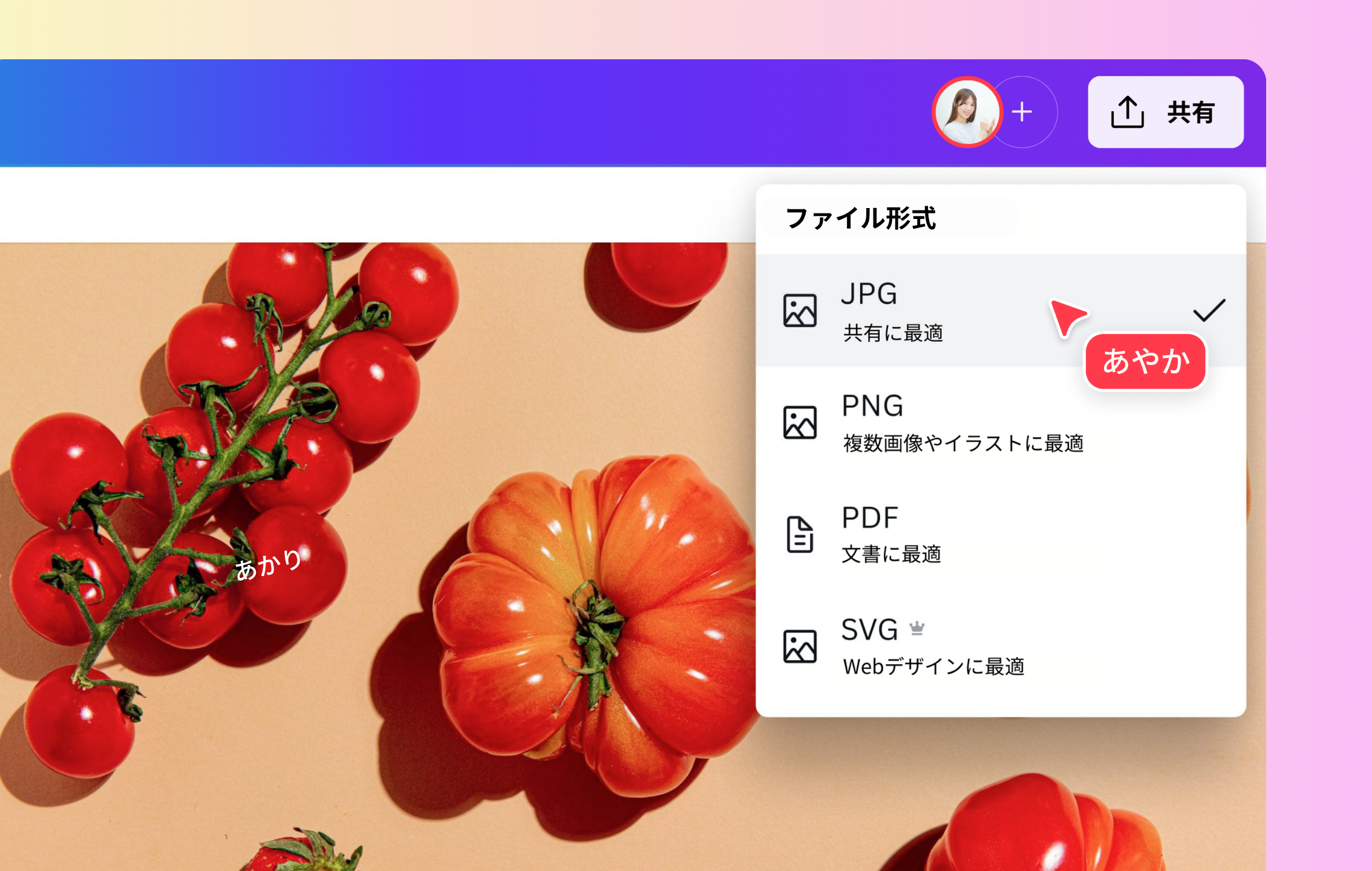 幅広いファイル形式と安心のセキュリティ対応 幅広いファイル形式と安心のセキュリティ対応