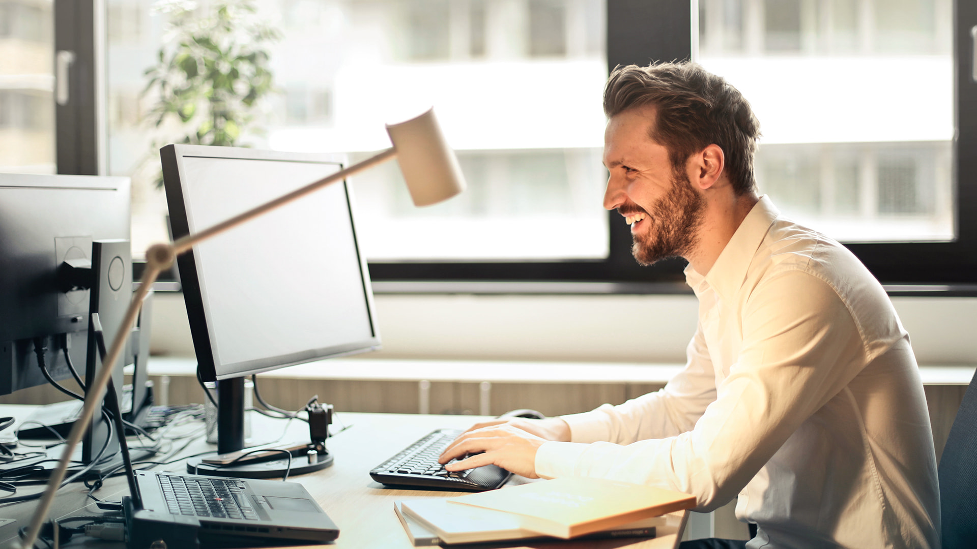 canva, demission, lettre de demission