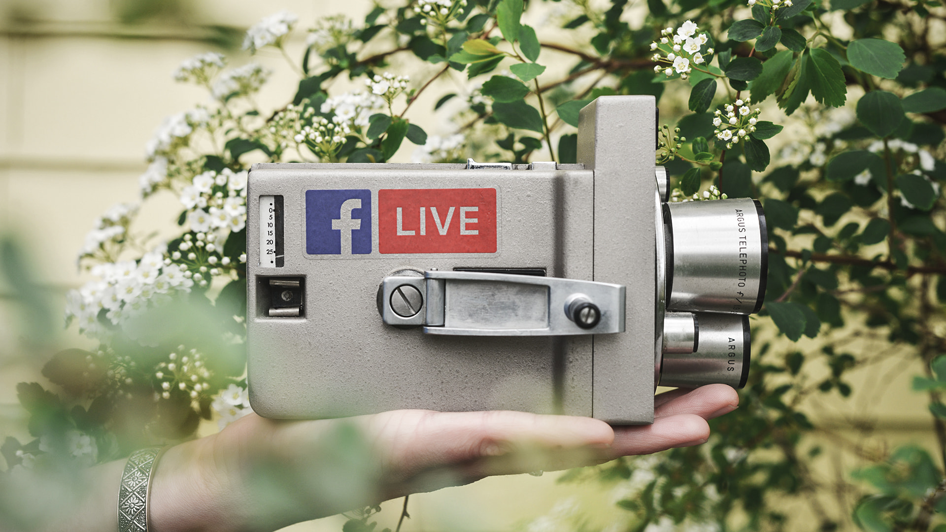 canva, facebook, video, live