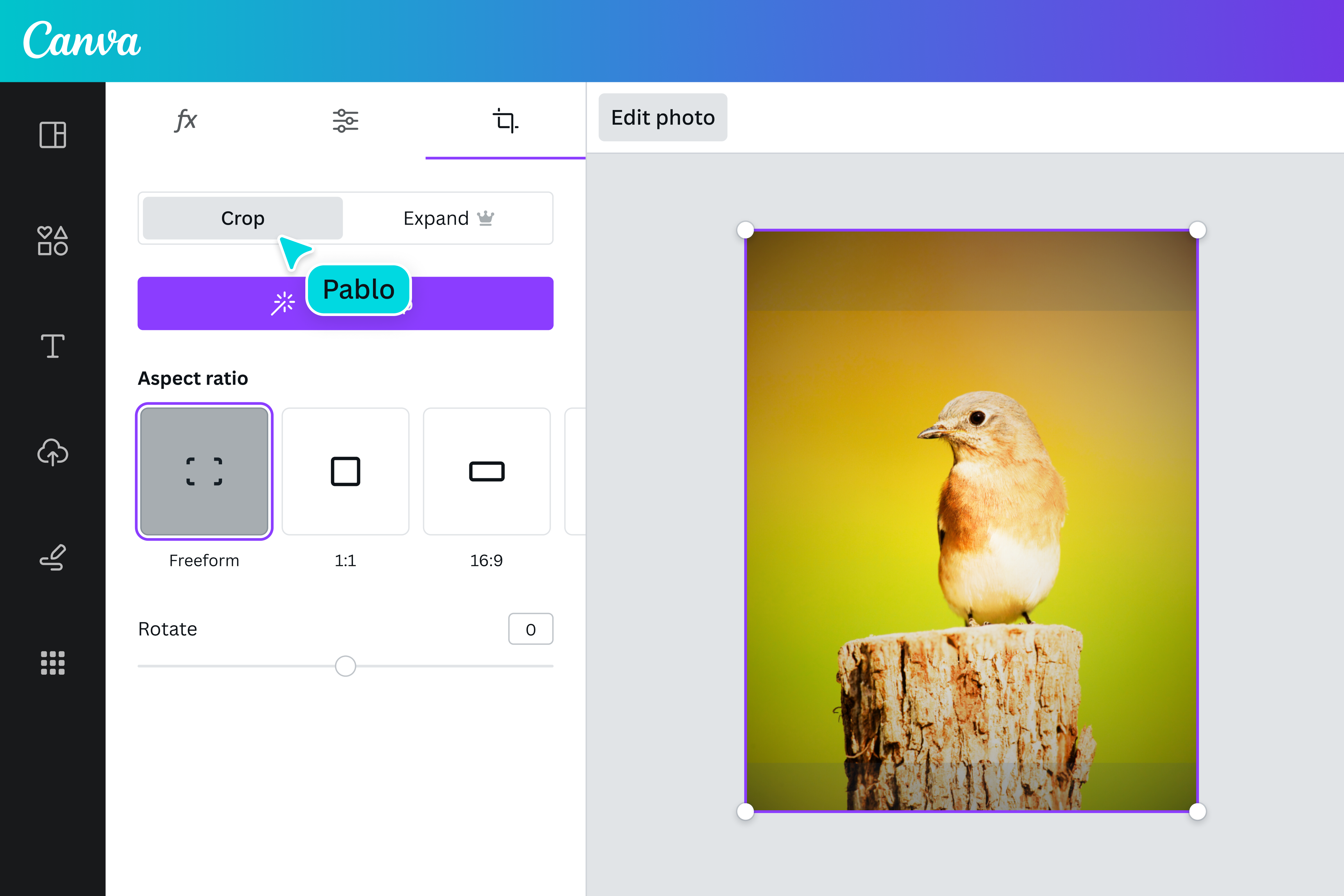 Crop your image in freeform