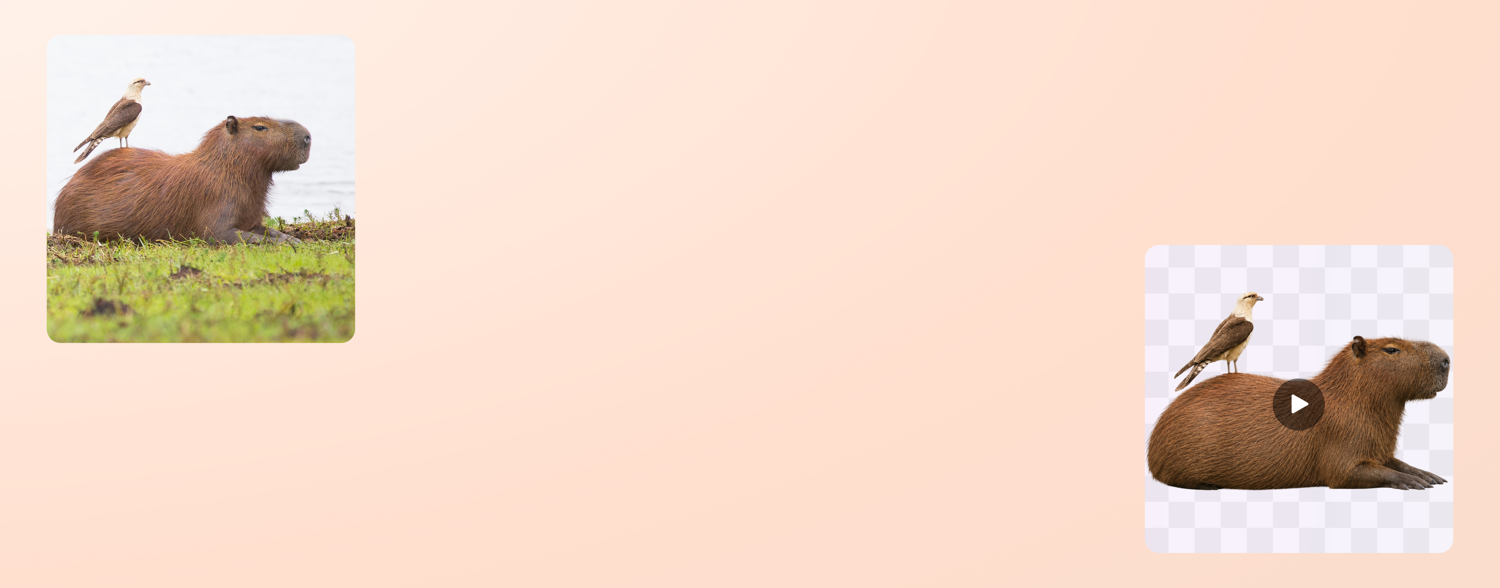 Feature banner image