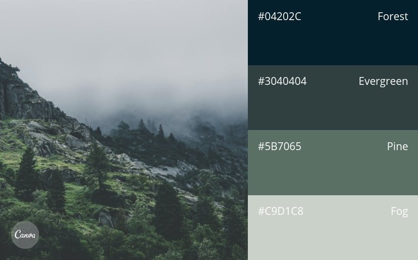 100 color combination ideas and examples | Canva
