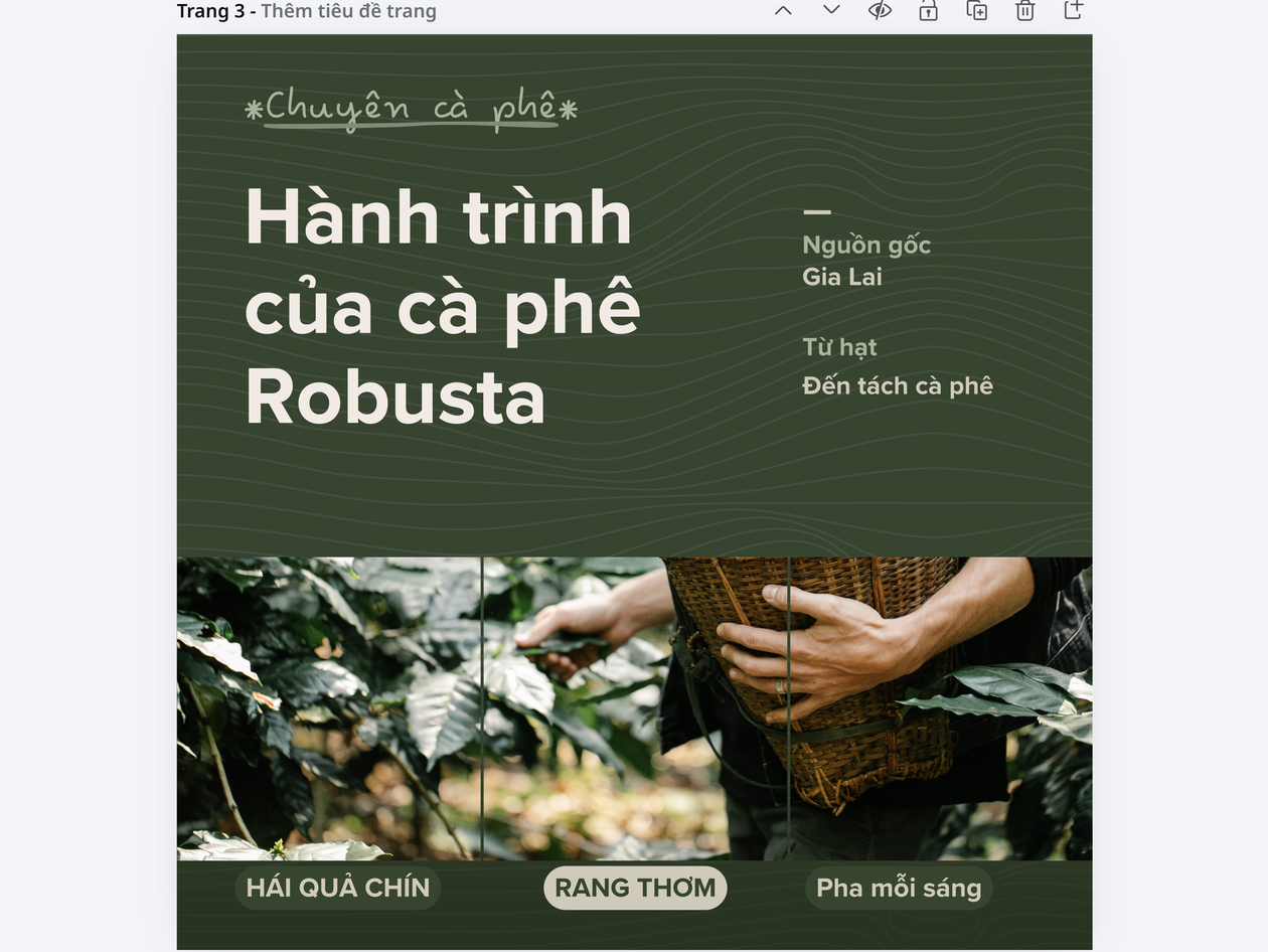 Biến các mảnh ảnh ghép thành một câu chuyện liền mạch Biến các mảnh ảnh ghép thành một câu chuyện liền mạch