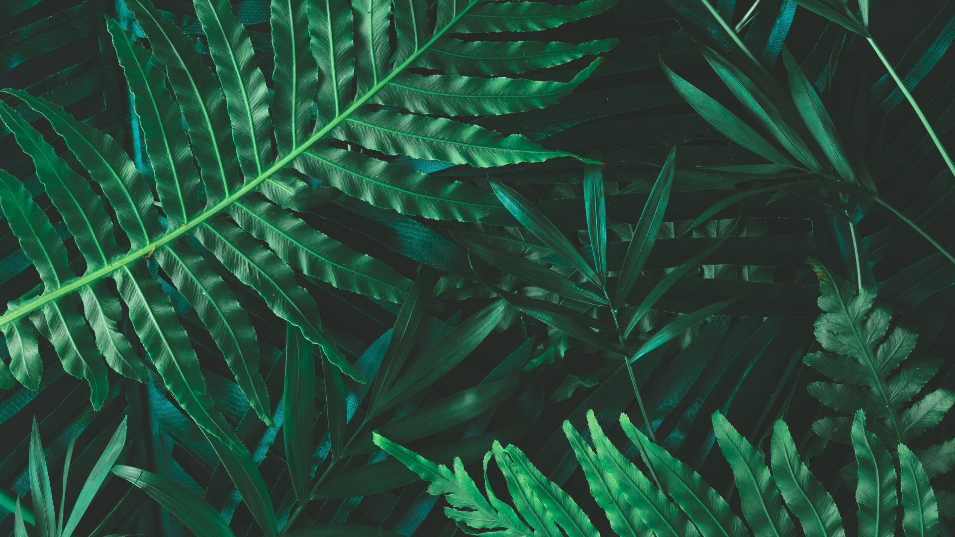 texture