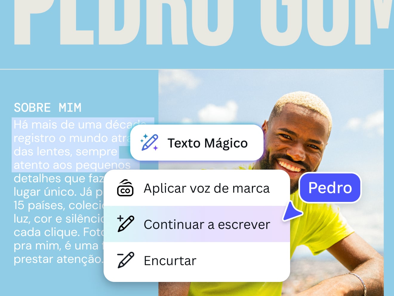 Visualização do Criador de Currículo com IA