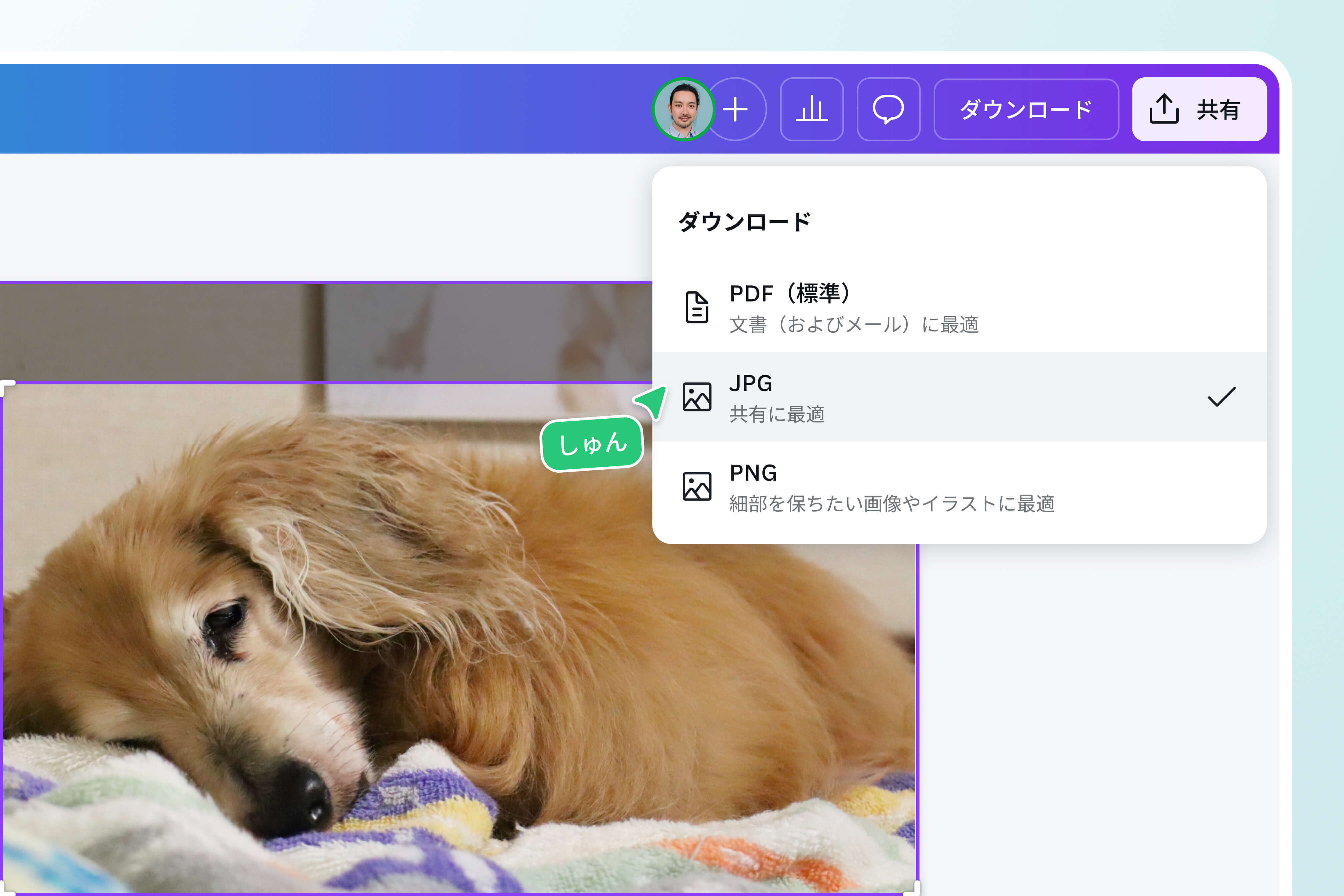 リサイズした画像・写真を高画質でダウンロード