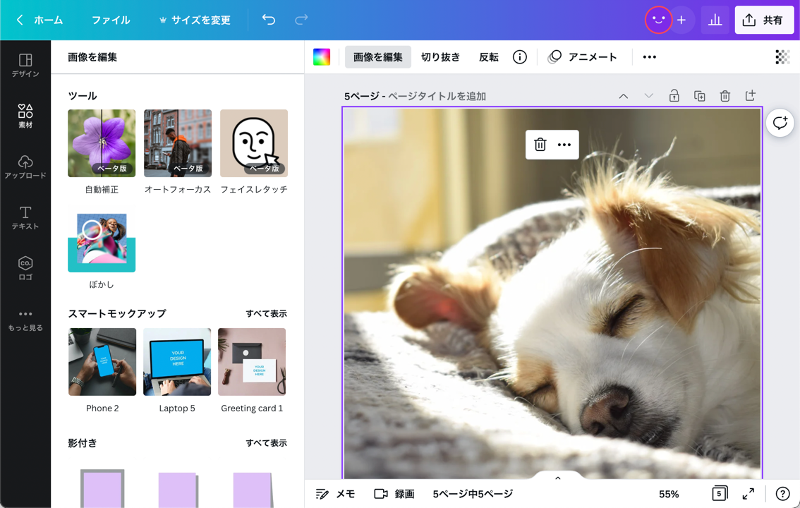 写真のリサイズと一緒に、写真の補正も可能 写真のリサイズと一緒に、写真の補正も可能