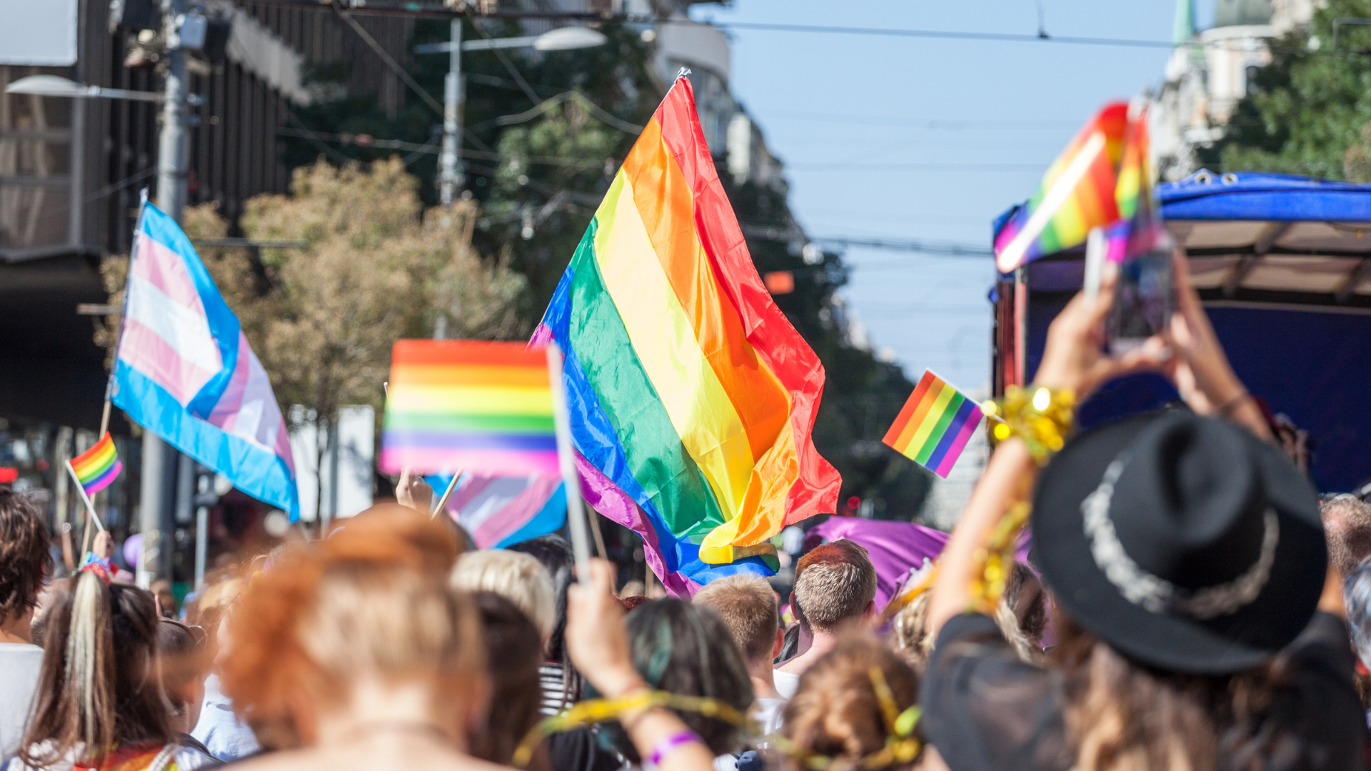 Crowd raising and holding rainbow gay and trans flags during a Gay Pride. 
