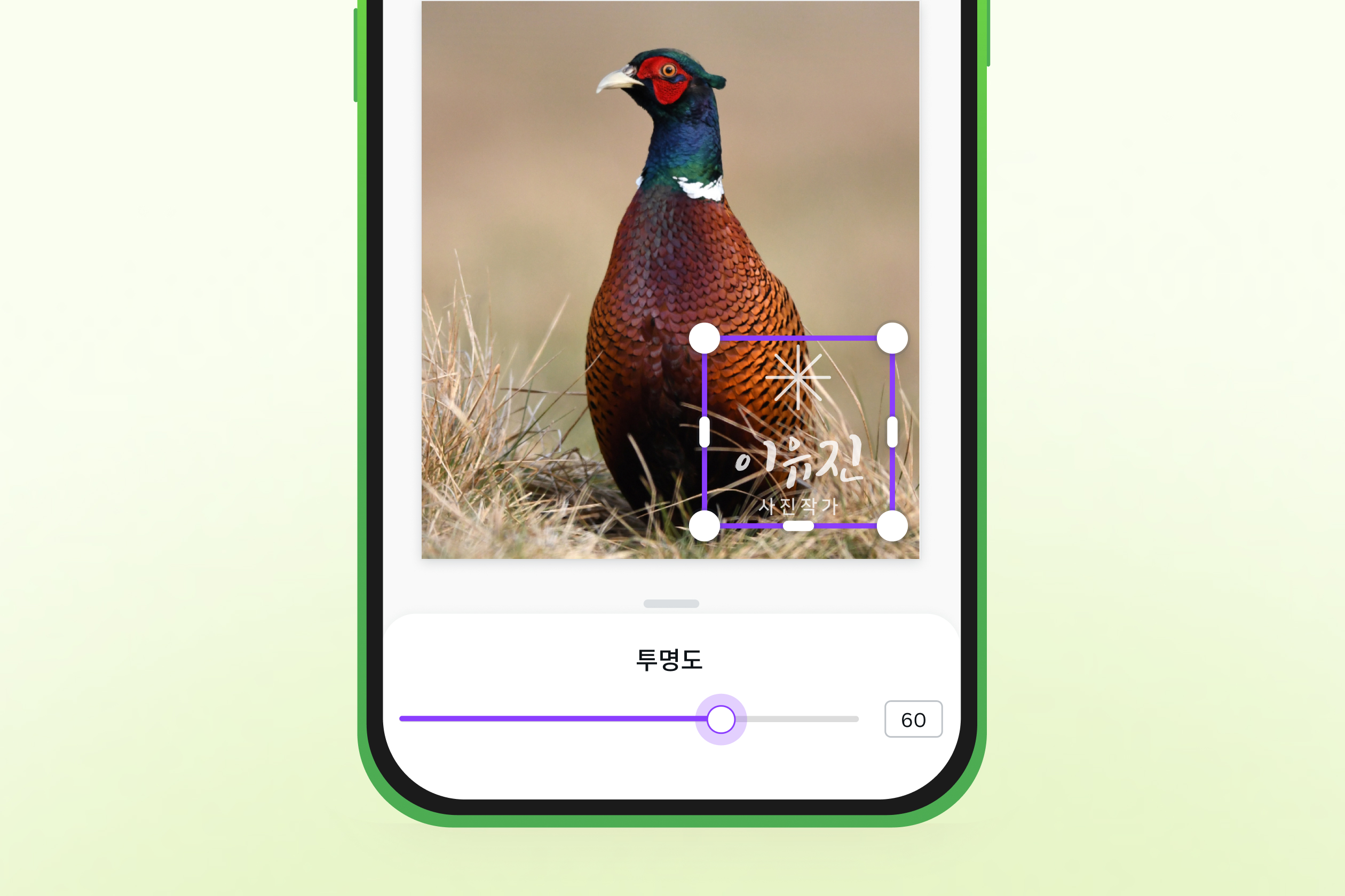 사진 워터마크 넣기