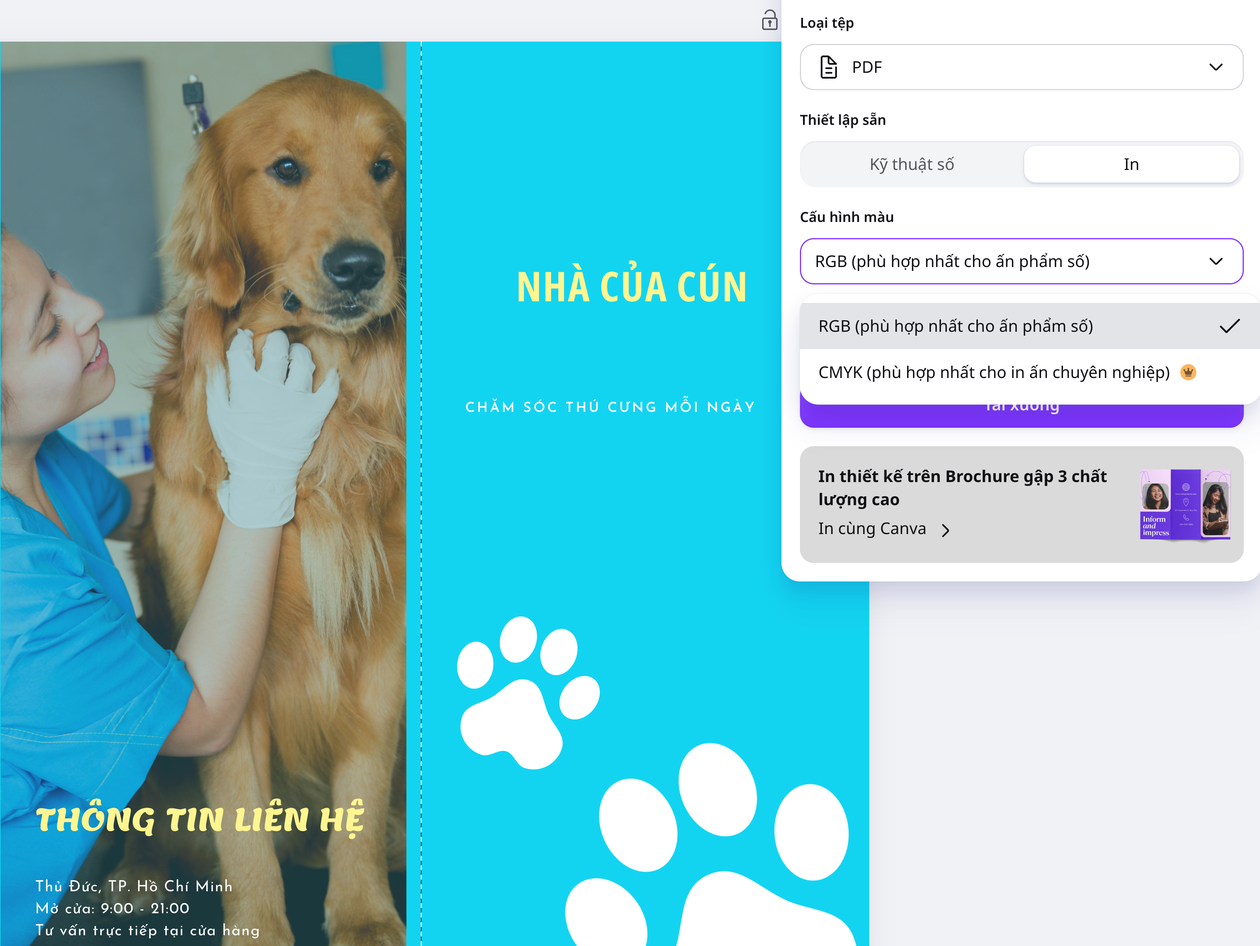 Sẵn sàng để chia sẻ và trình bày tác phẩm của bạn Thiết lập PDF in trong bảng tải xuống của Canva