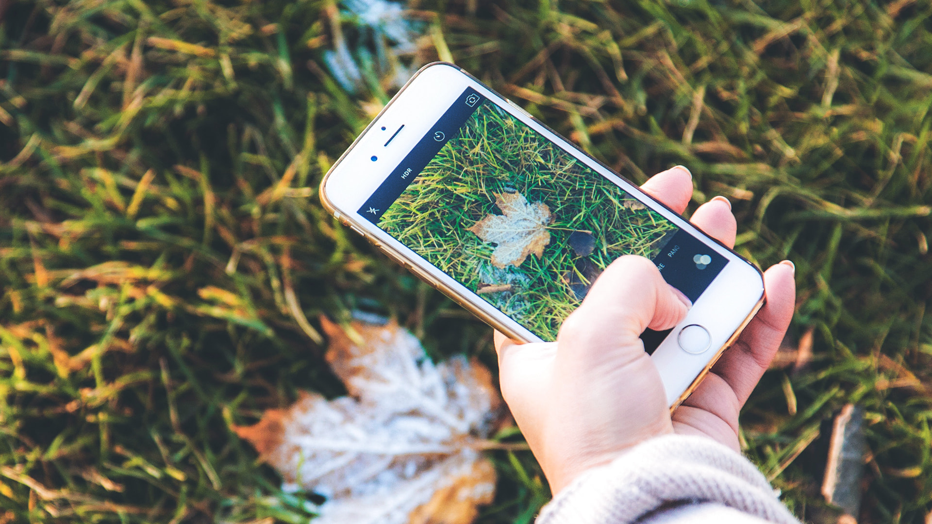 canva, stories, story, instagram