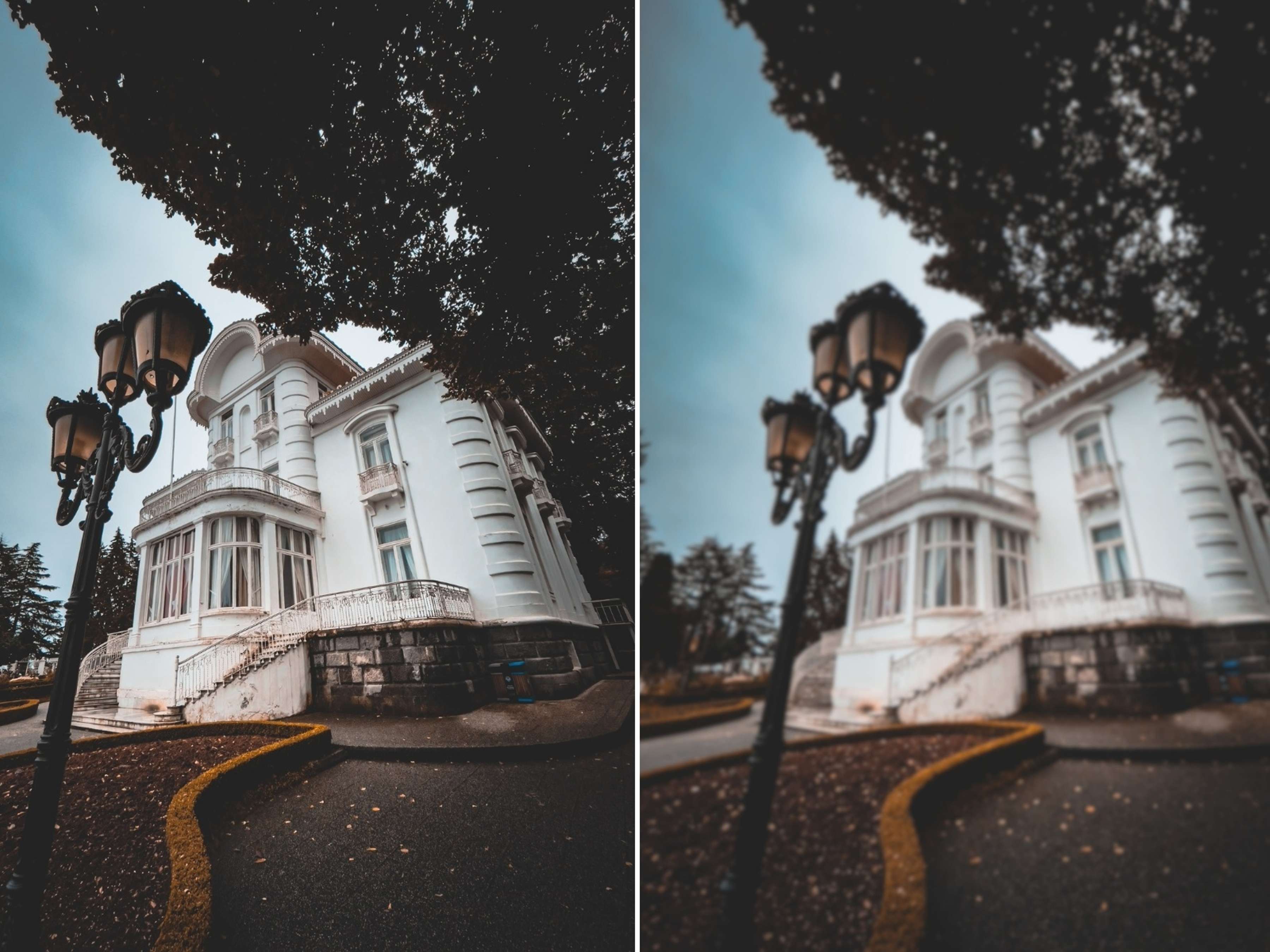 fotoğraf bulanıklaştırma efekti - Canva