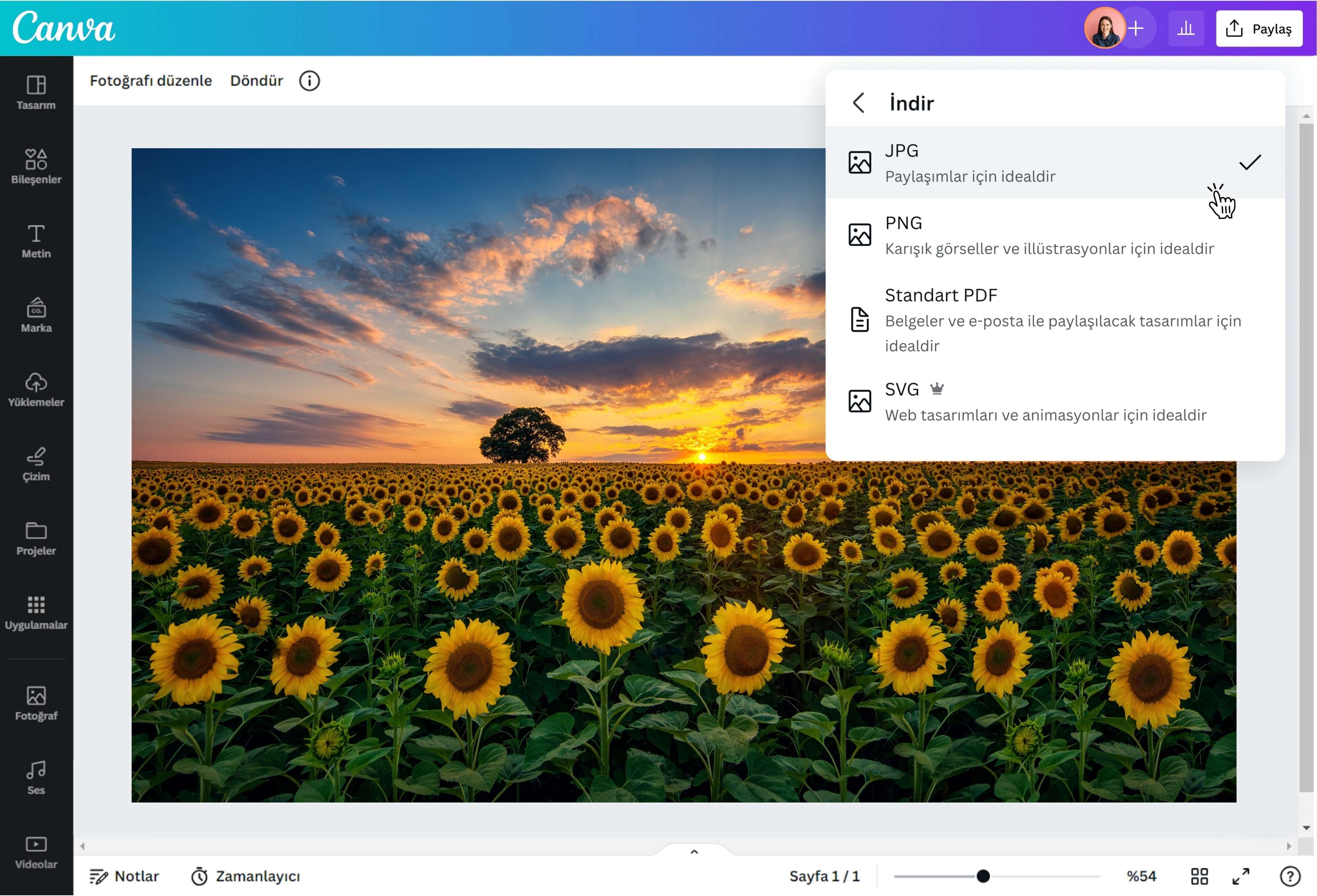 WebP JPG çevirme nasıl yapılır?