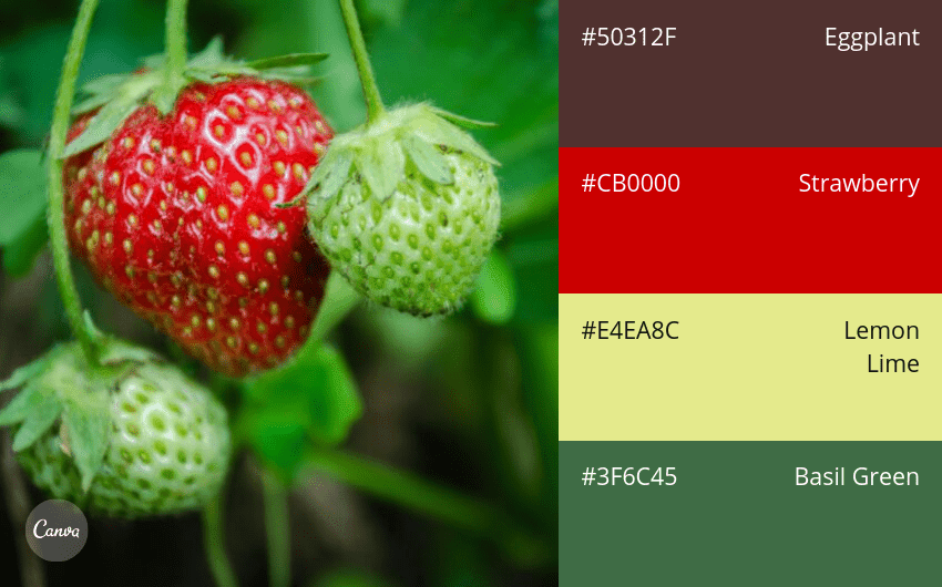 100 color combination ideas and examples | Canva