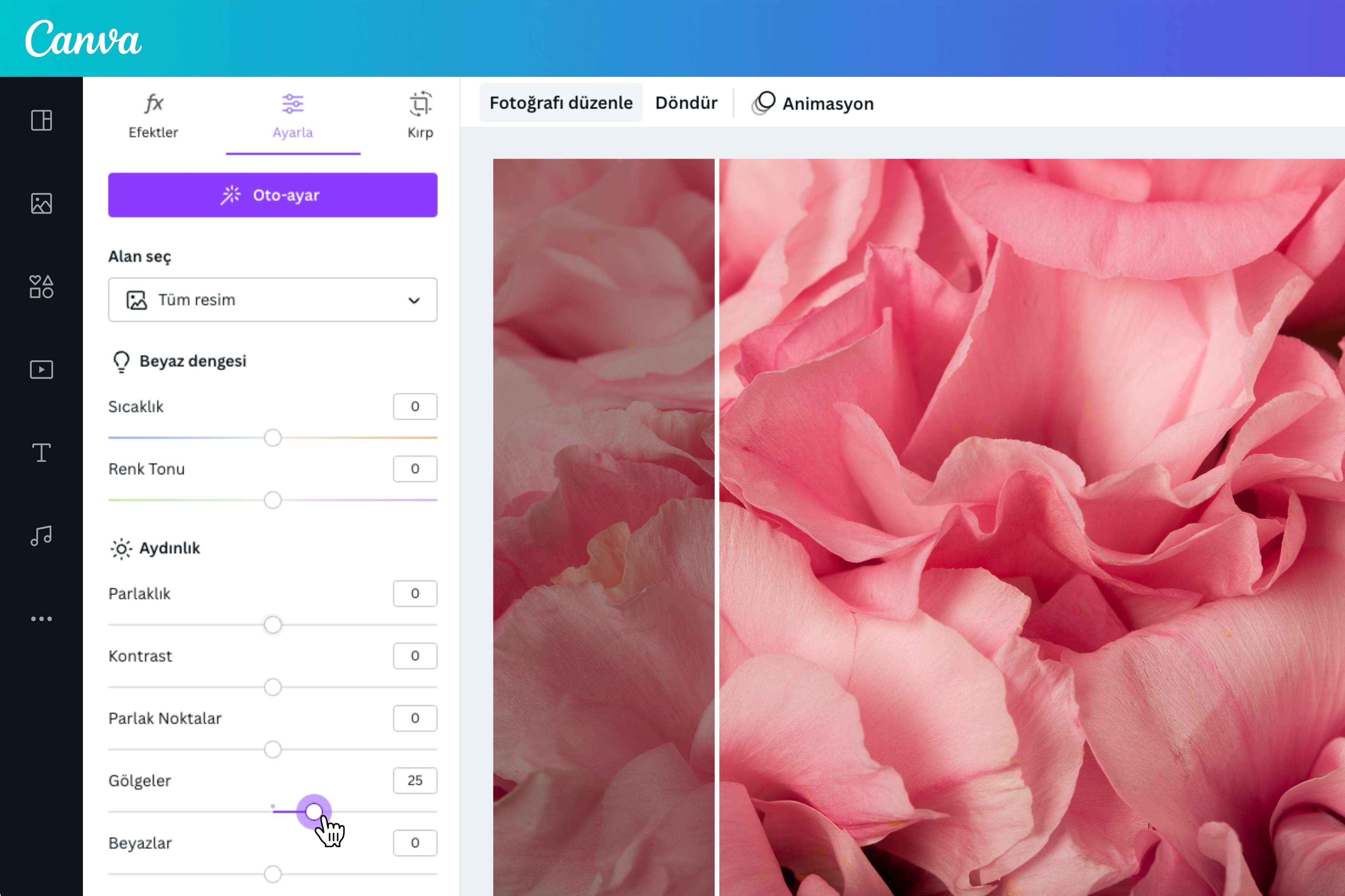 resim dönüştürme ve iyileştirme - Canva