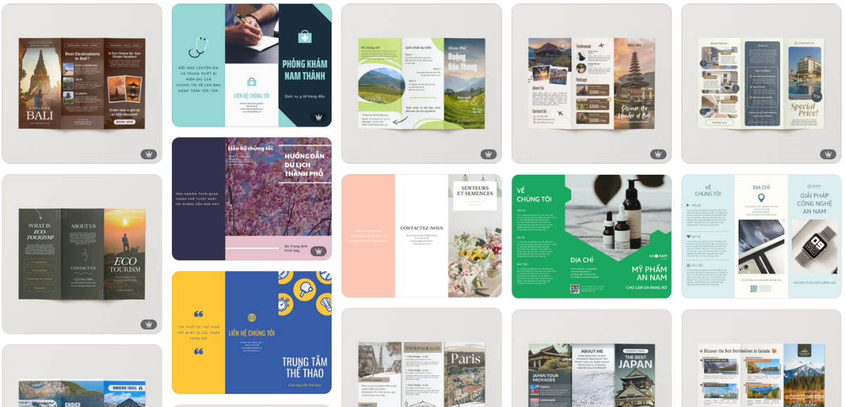 Thiết kế Catalogue với Canva