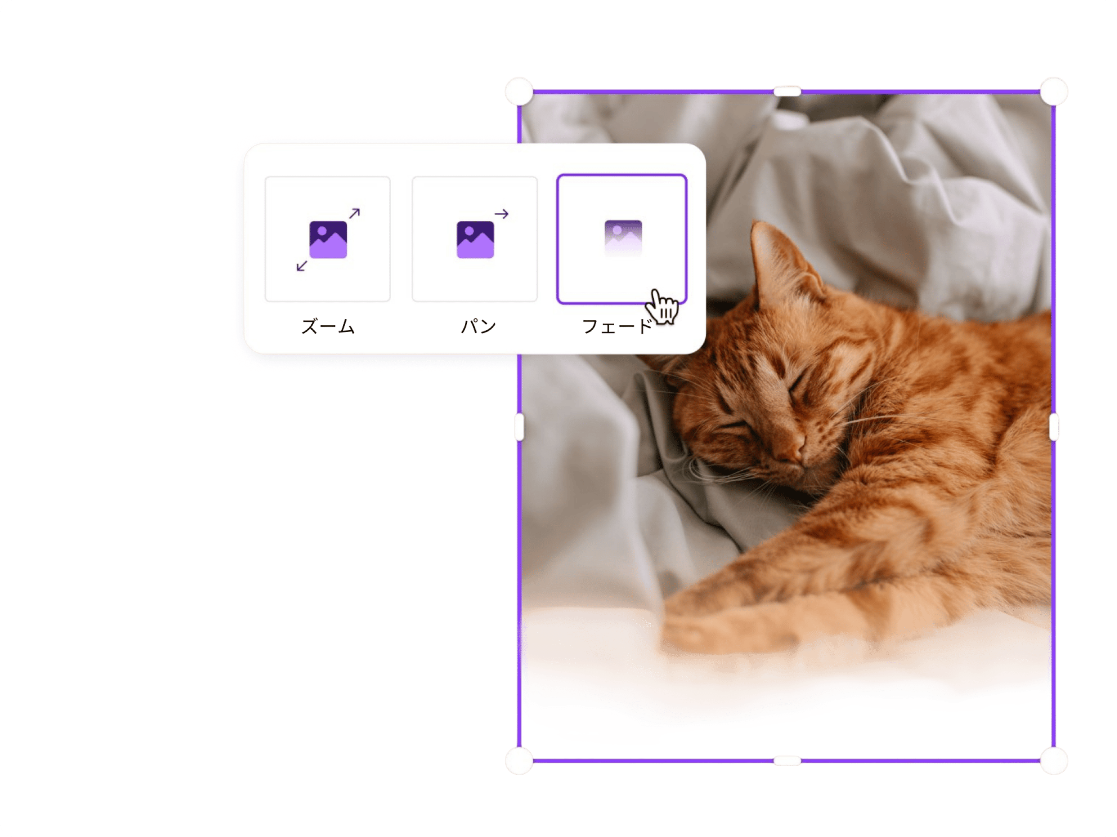 写真アニメーション