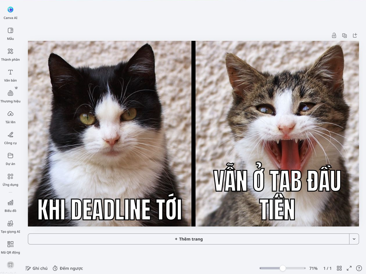 How to make a meme - Canva Ảnh meme hai chú mèo trong trình chỉnh sửa Canva với câu chữ "Khi deadline tới" và "Vẫn ở tab đầu tiên".