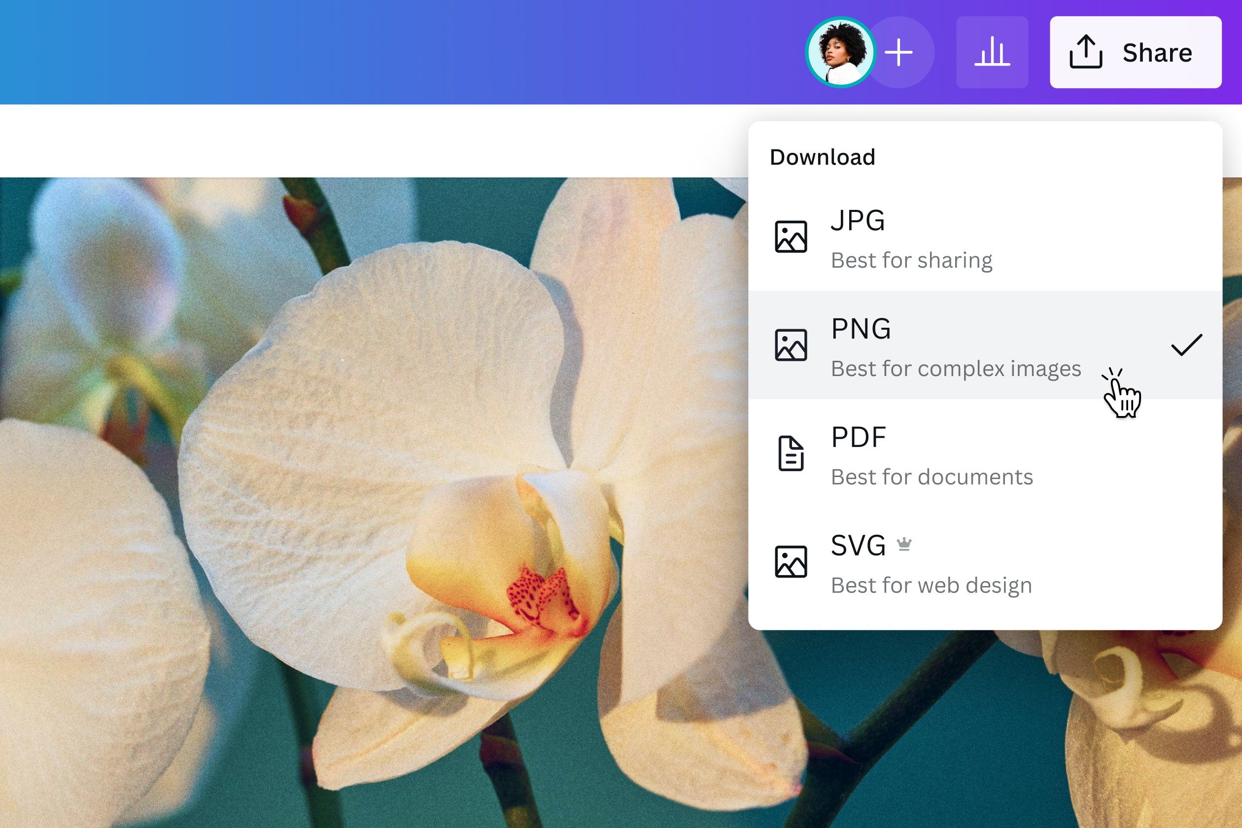 Convert JPG images to PNG