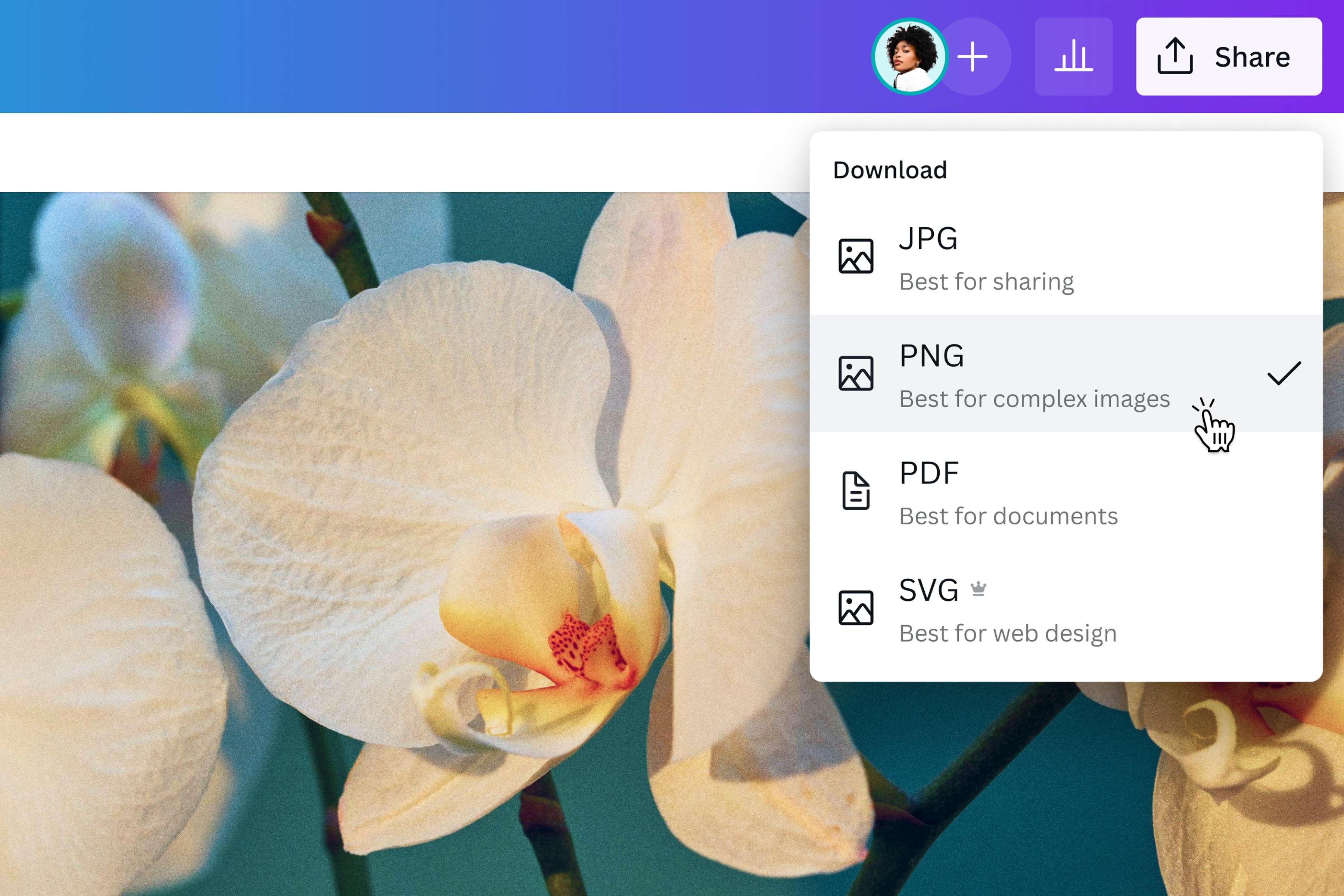 Convert JPG images to PNG
