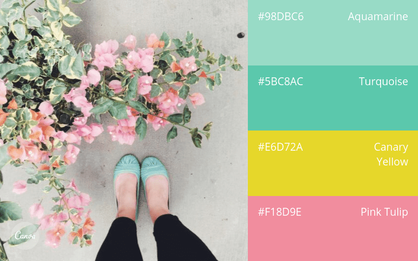 Mixed Color Combinations 100 color combination ideas and examples | Canva