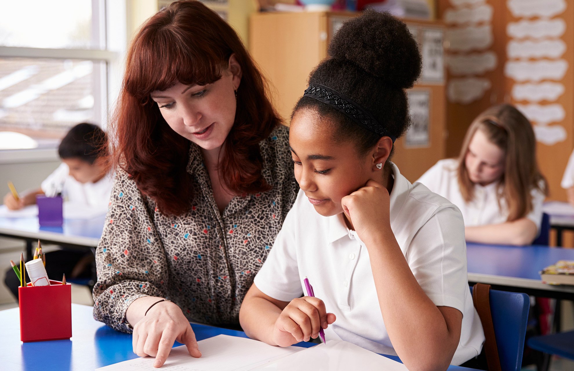Primary-School-Teacher