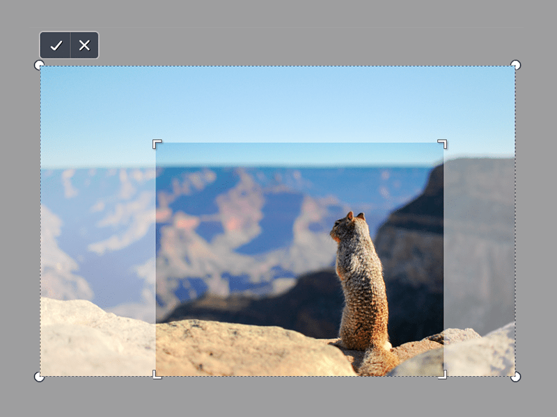 LP_Billedbeskæring_01