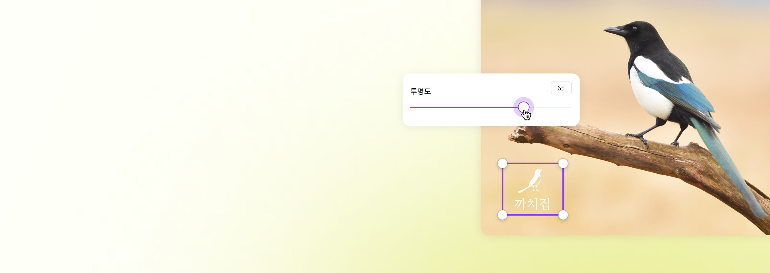 사진에 워터마크 넣기