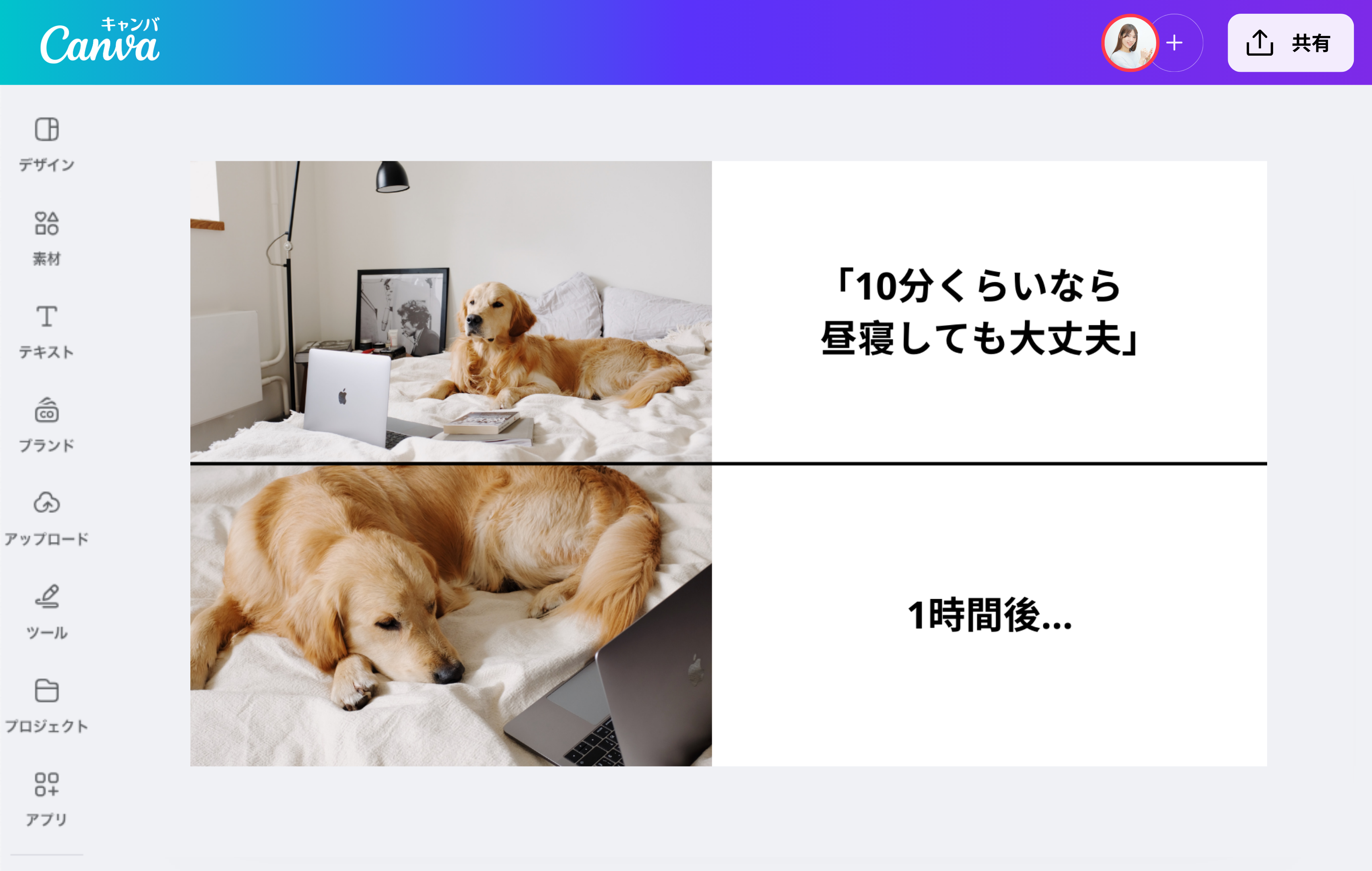 ミーム作成！猫ミームなどをネットミームジェネレーター・AI搭載アプリ 
