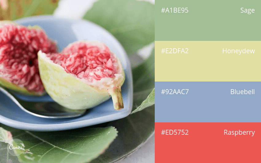 100 color combination ideas and examples | Canva