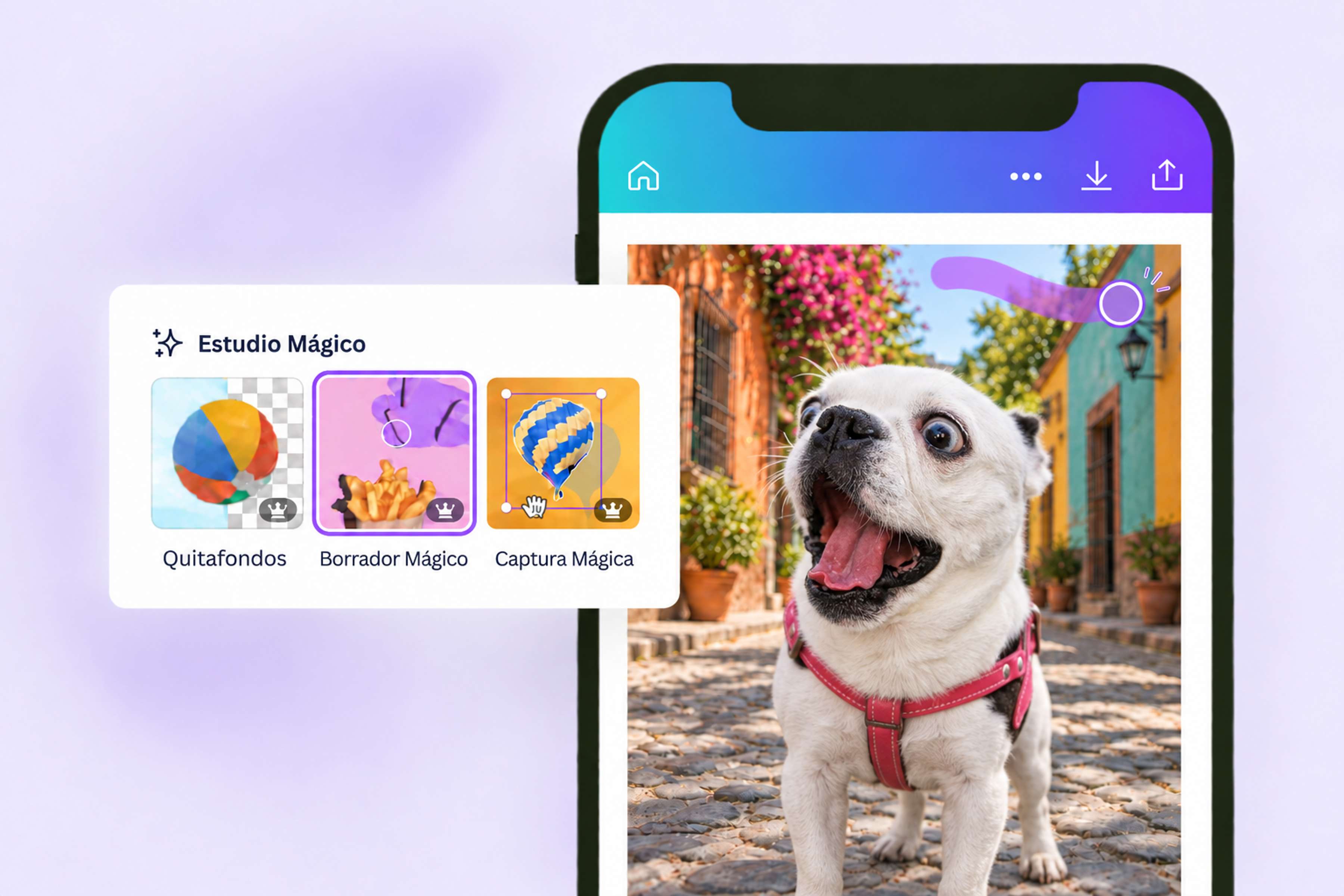 Elimina rastros del fondo de una imagen con Borrador Mágico