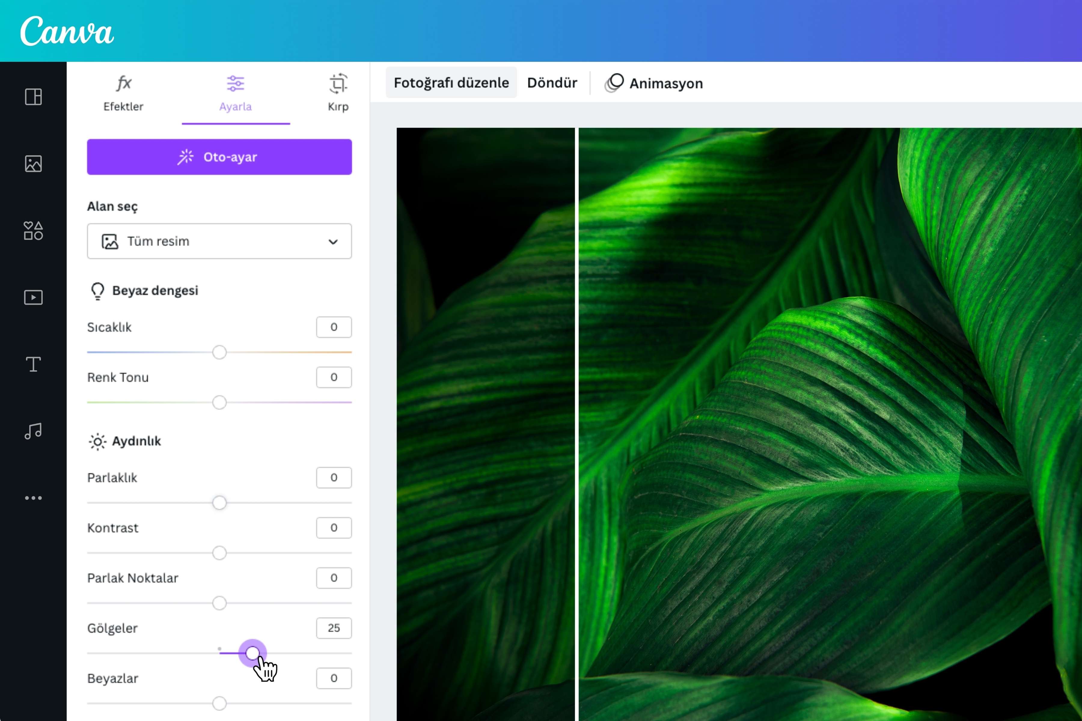HEIC dosyasını JPG ye çevirme ve düzenleme - Canva