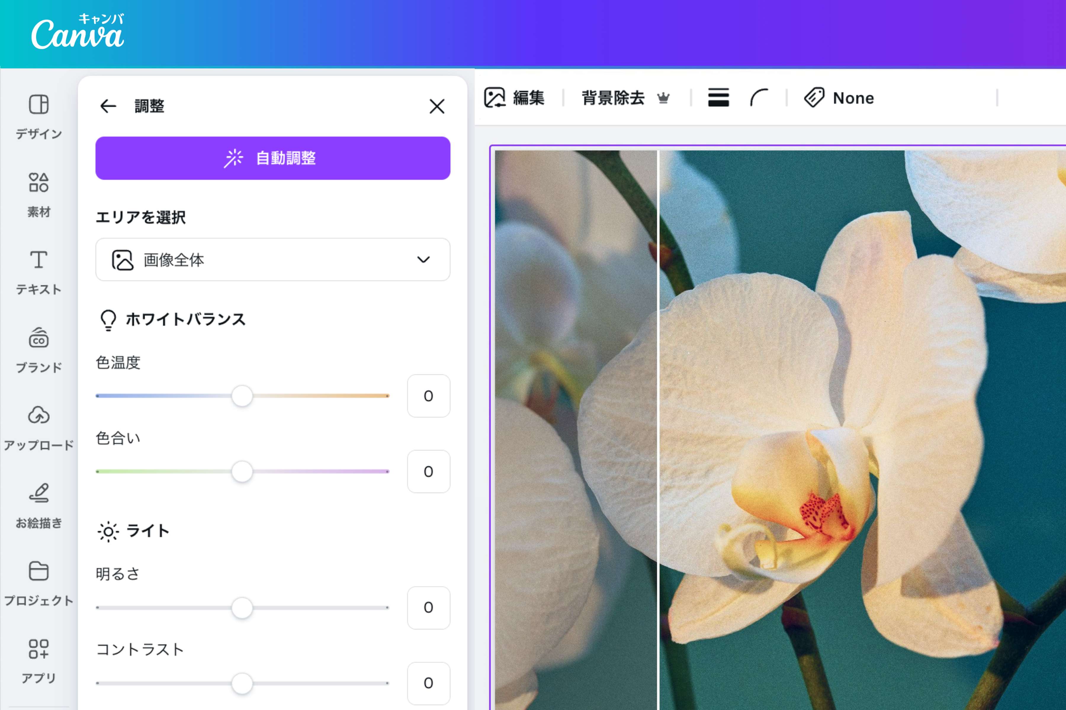 画像変換後は写真を加工して補正