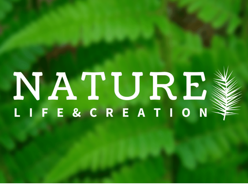 Gunakan ikon dalam Canva